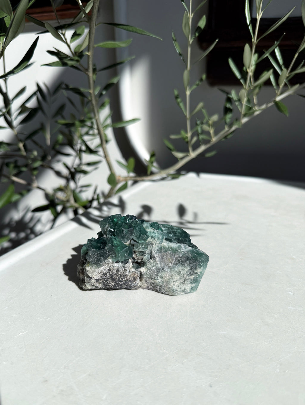 natural green fluorite on marble counter with olive branches in back