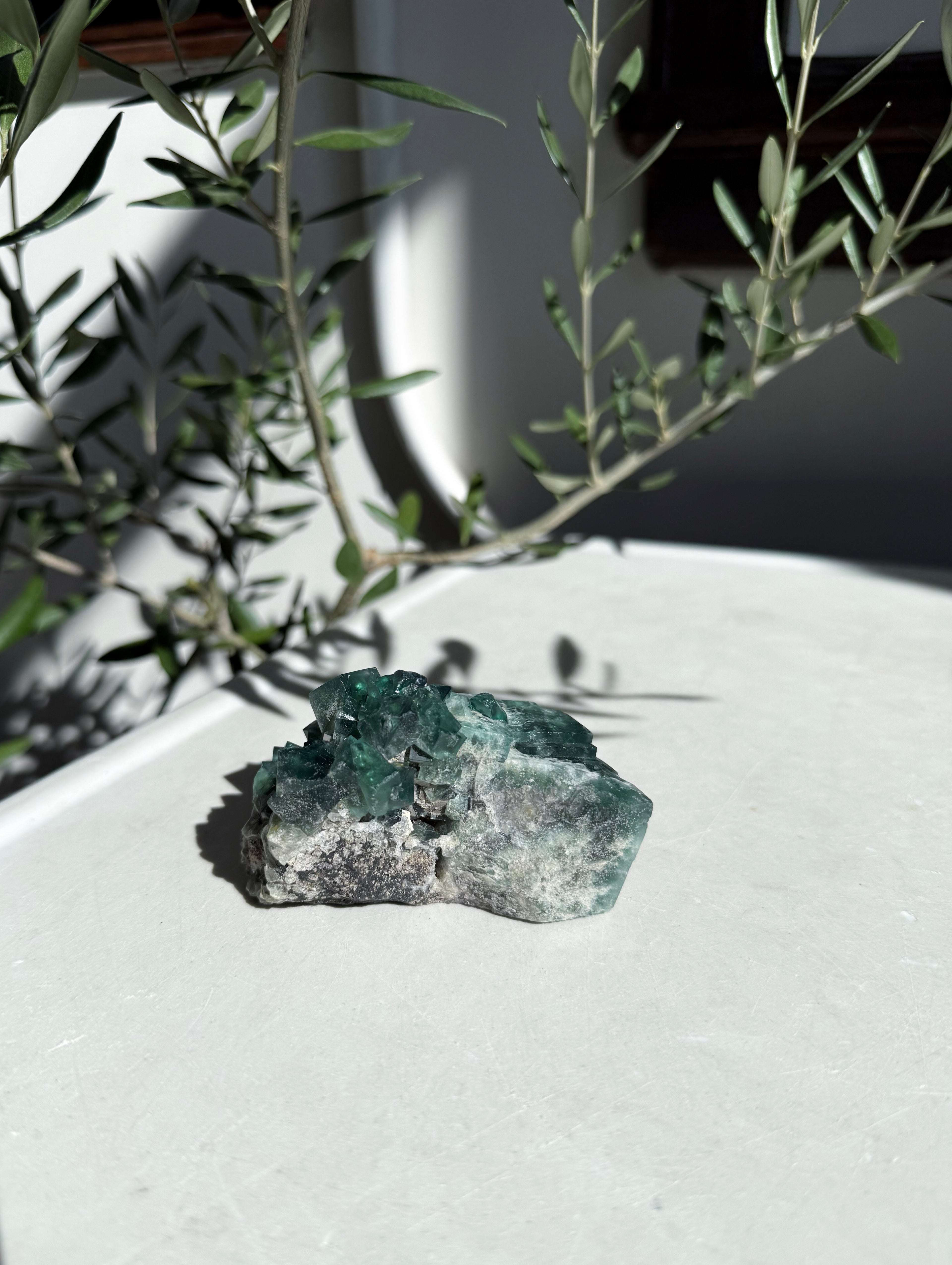 natural green fluorite on marble counter with olive branches in back