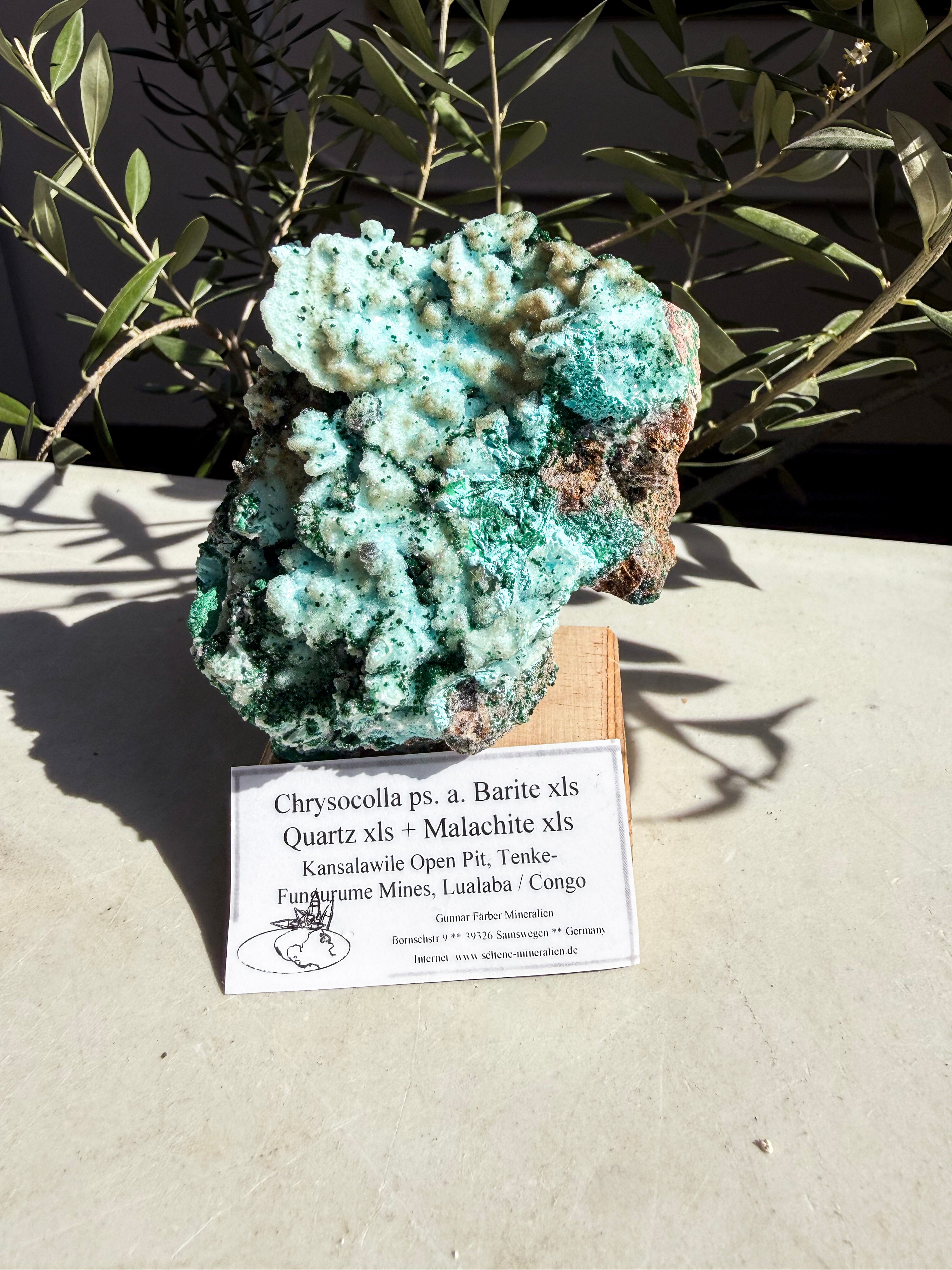 Chrysocolla, Barite, Quartz, Malachite on a wooden base
