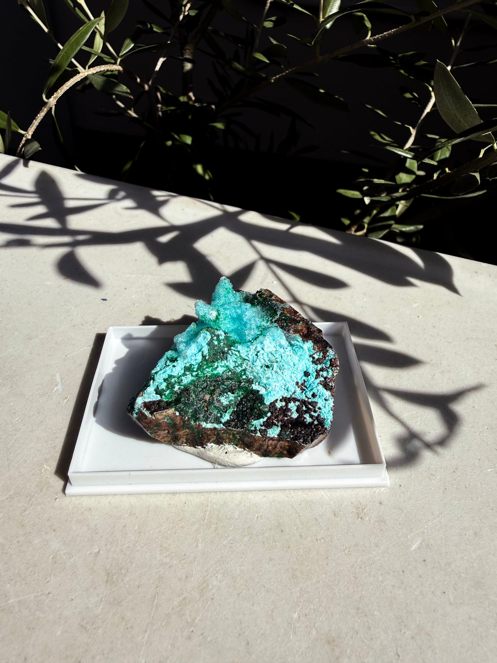 Chrysocolla, Barite, Quartz and Malachite specimen in white display box