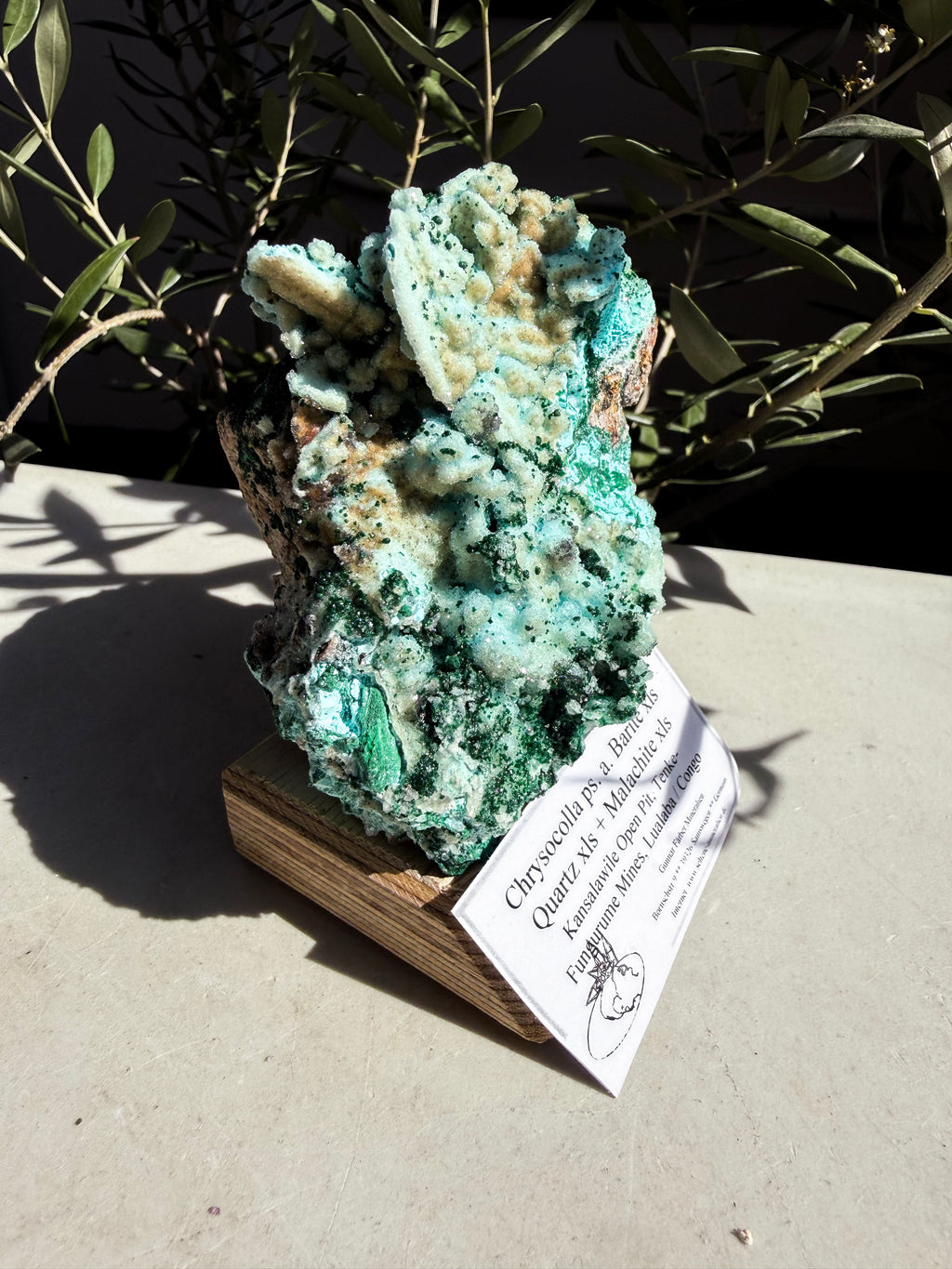 Chrysocolla, Barite, Quartz, Malachite mounted on a wooden base on white counter