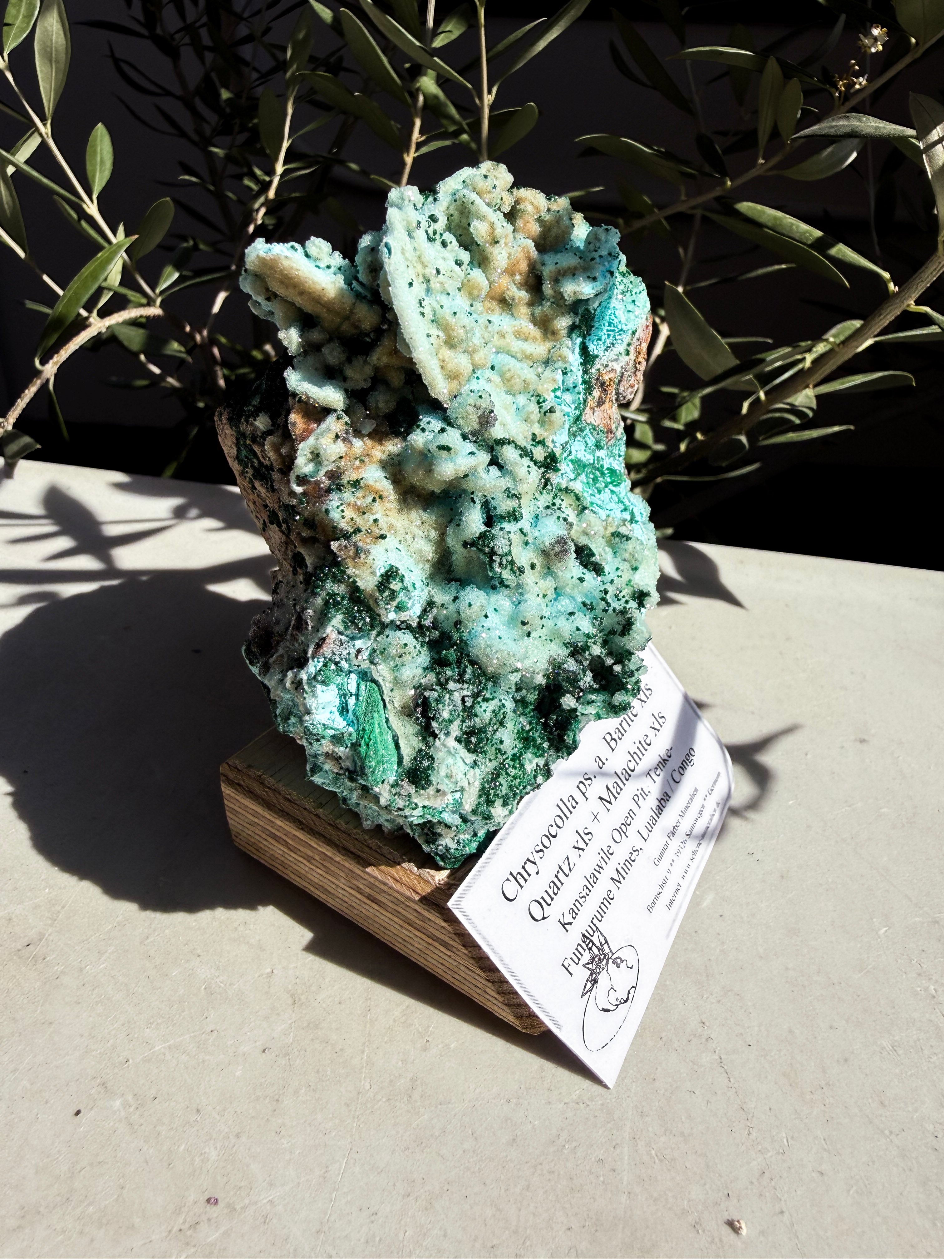 Chrysocolla, Barite, Quartz, Malachite mounted on a wooden base on white counter