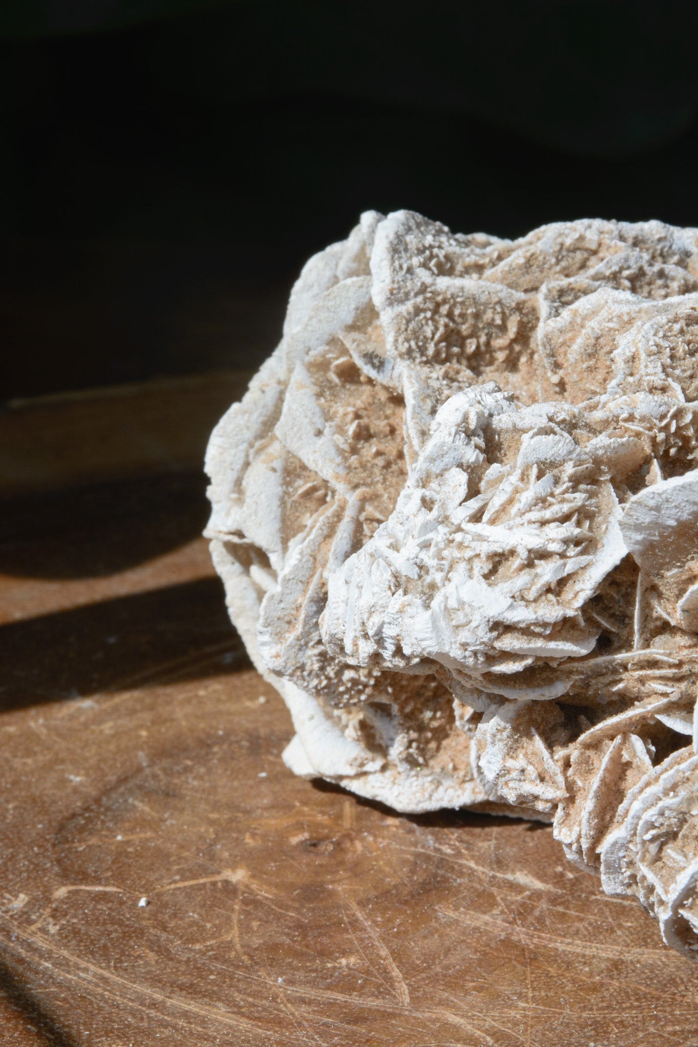 Sand Flower from Mexico | Surry Hills Stones