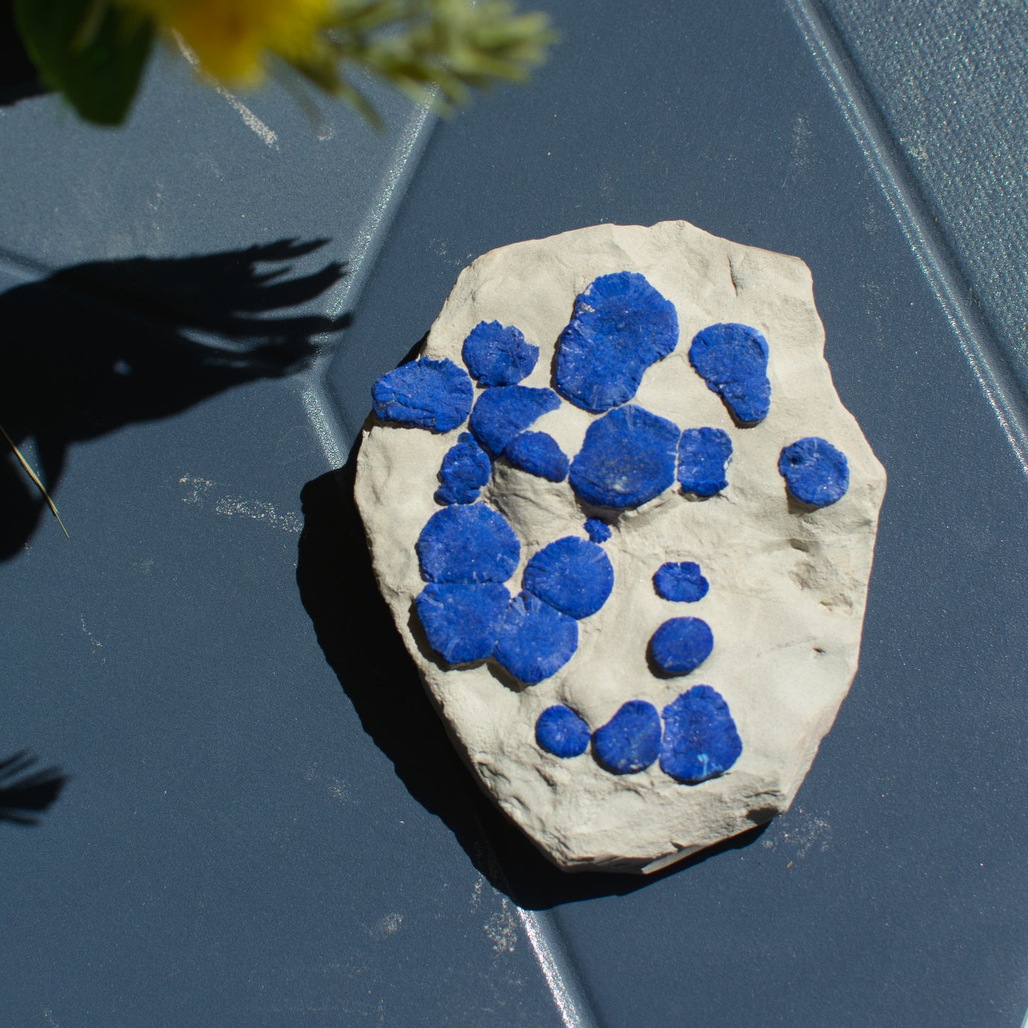 Australian Azurite Sun