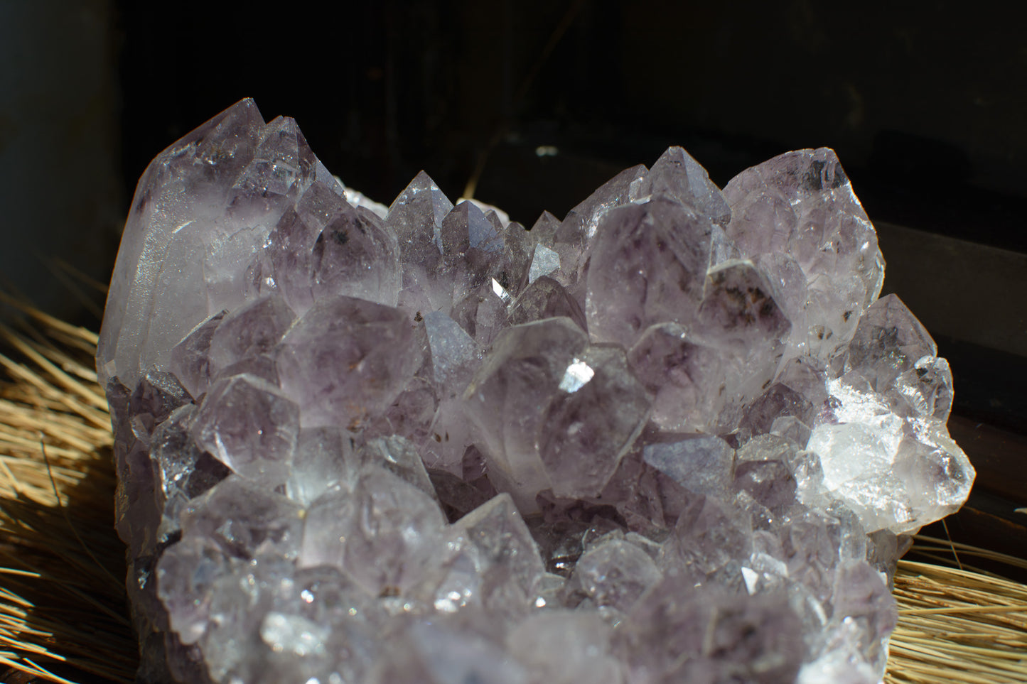 Large Amethyst Cluster with Many Points