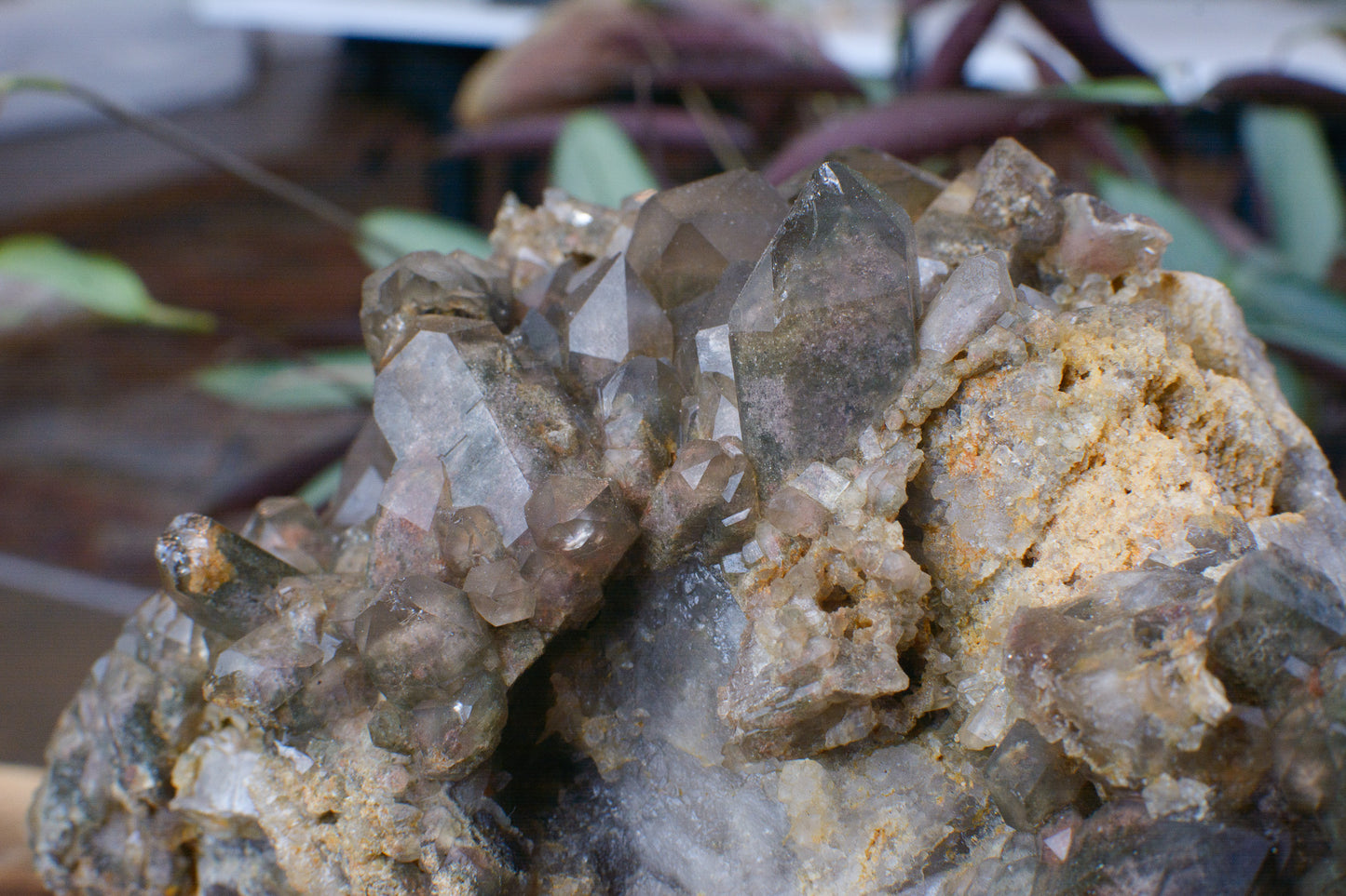 Colorful Shaman Quartz