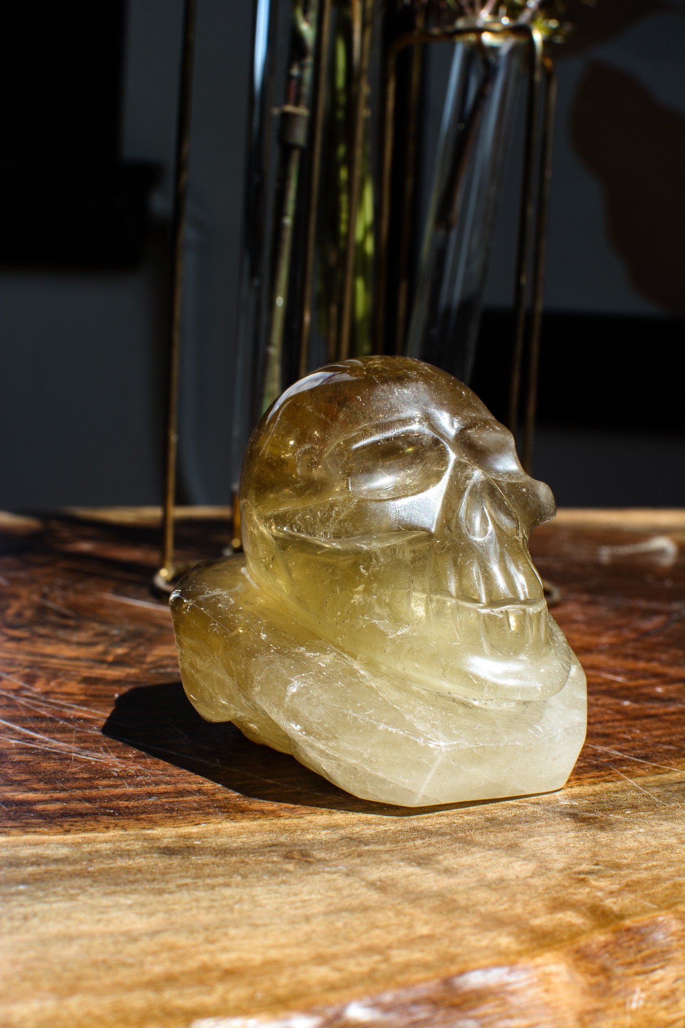 Citrine Skull Handcarved in Brazil