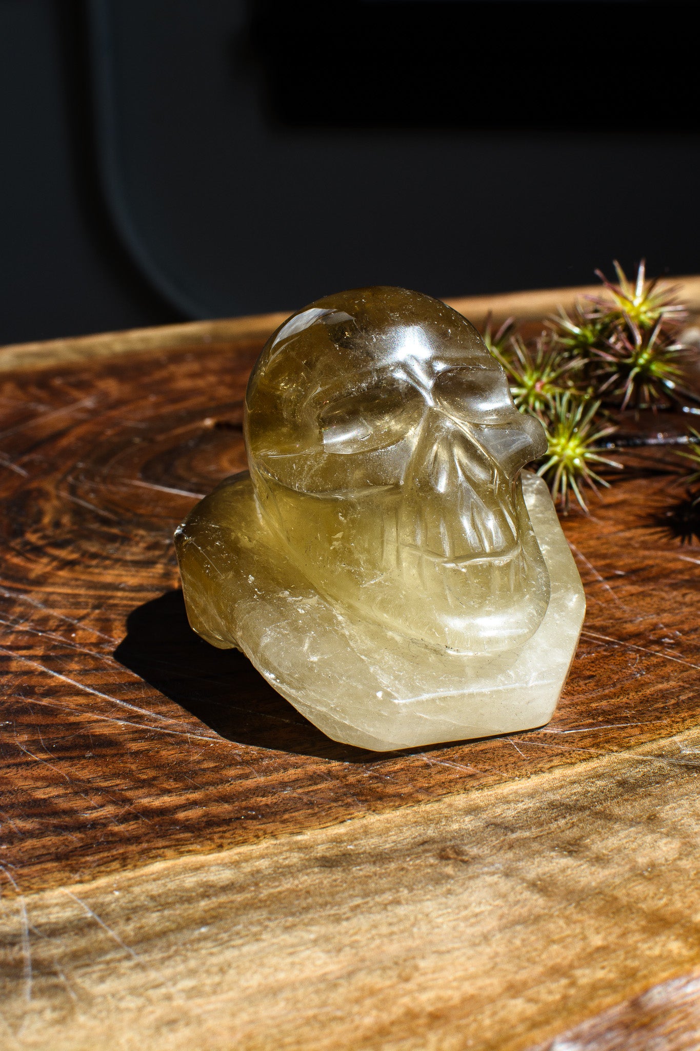 Citrine Skull Handcarved in Brazil