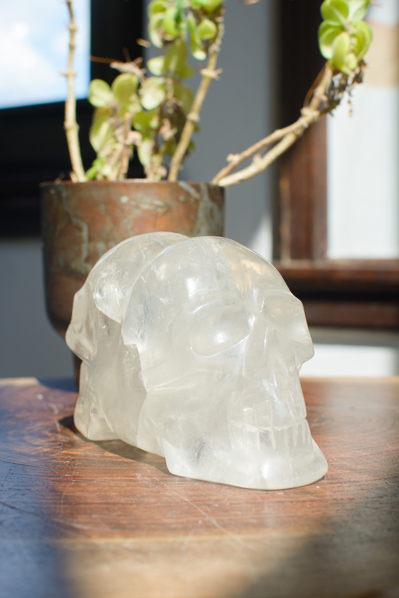 Champagne Citrine Skull