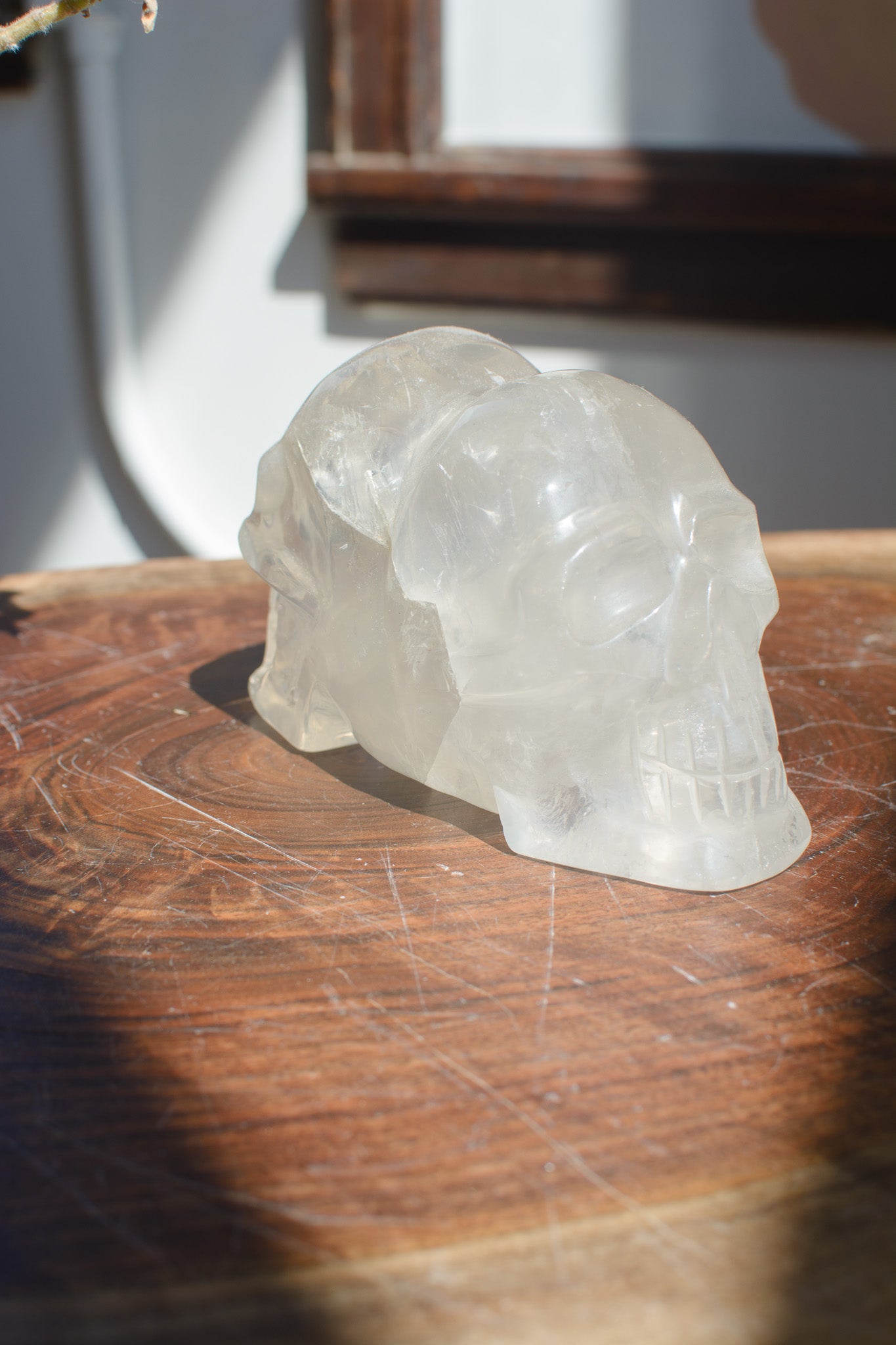 Champagne Citrine Skull