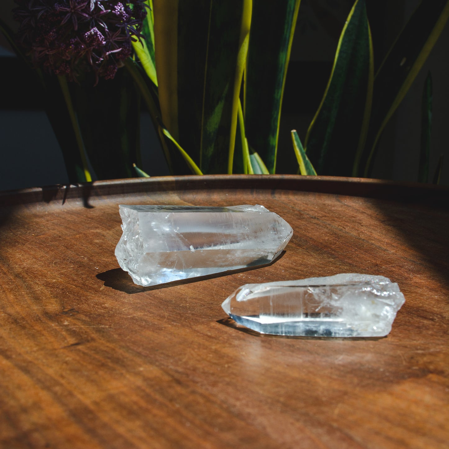 Lemurian Quartz Points