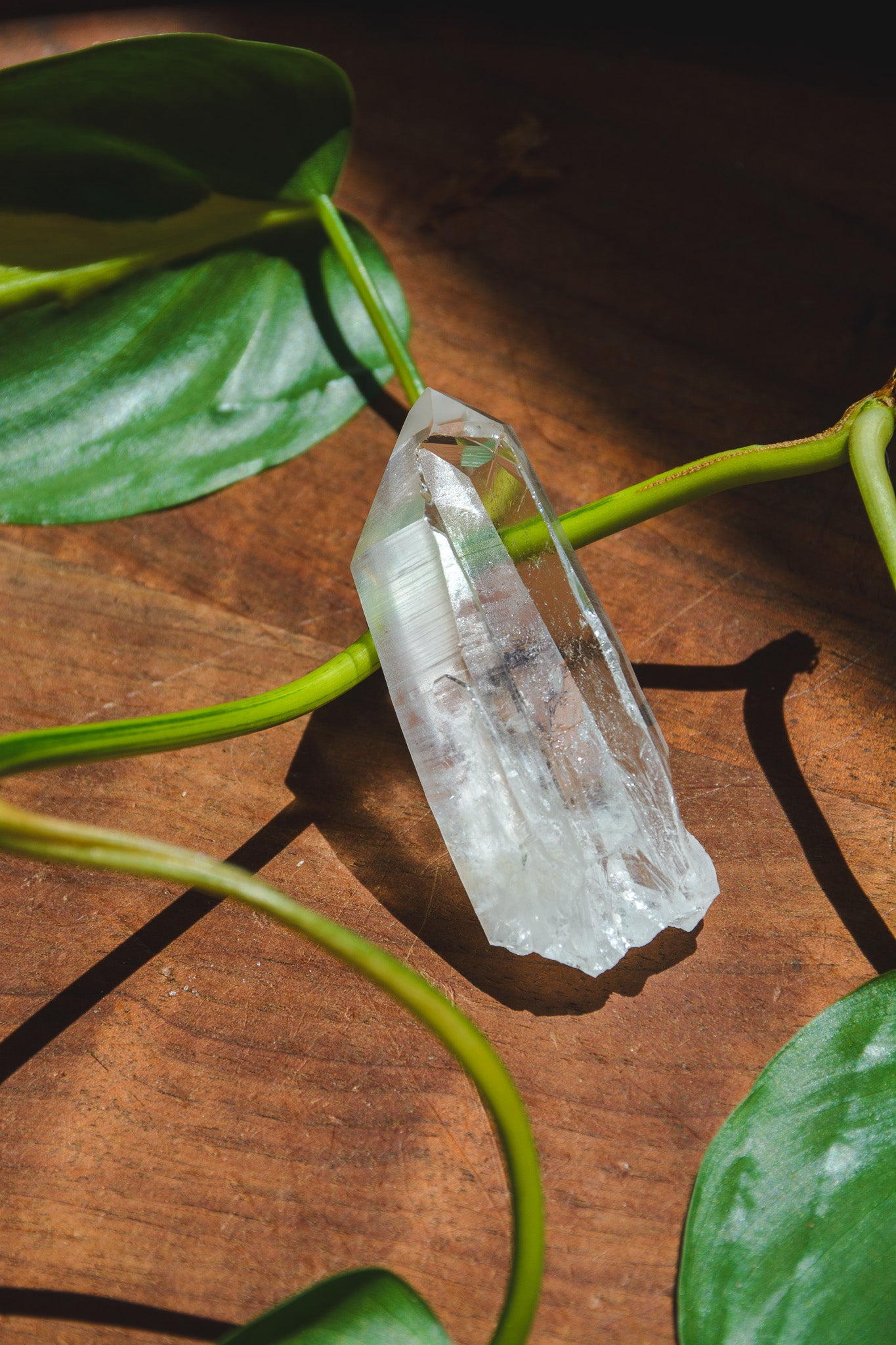 Lemurian Quartz Points