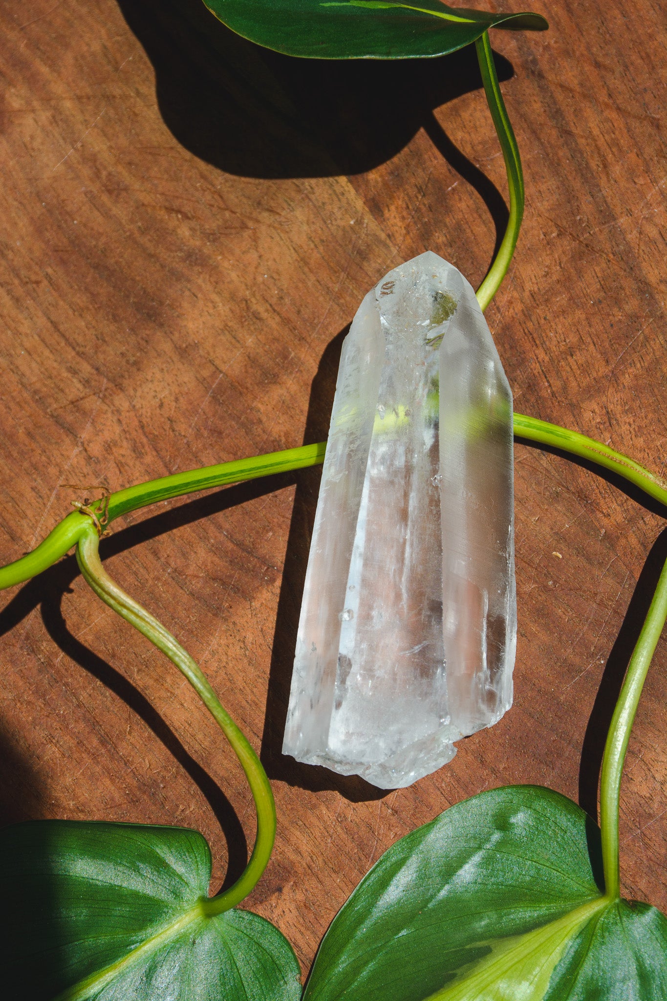 Lemurian Quartz Points