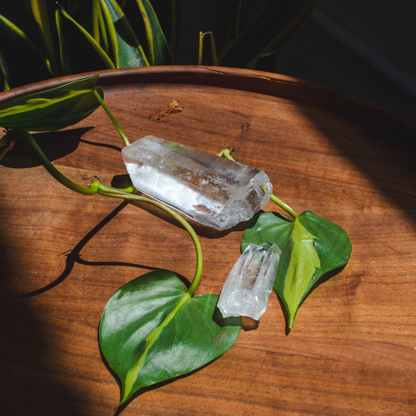 Lemurian Quartz Points