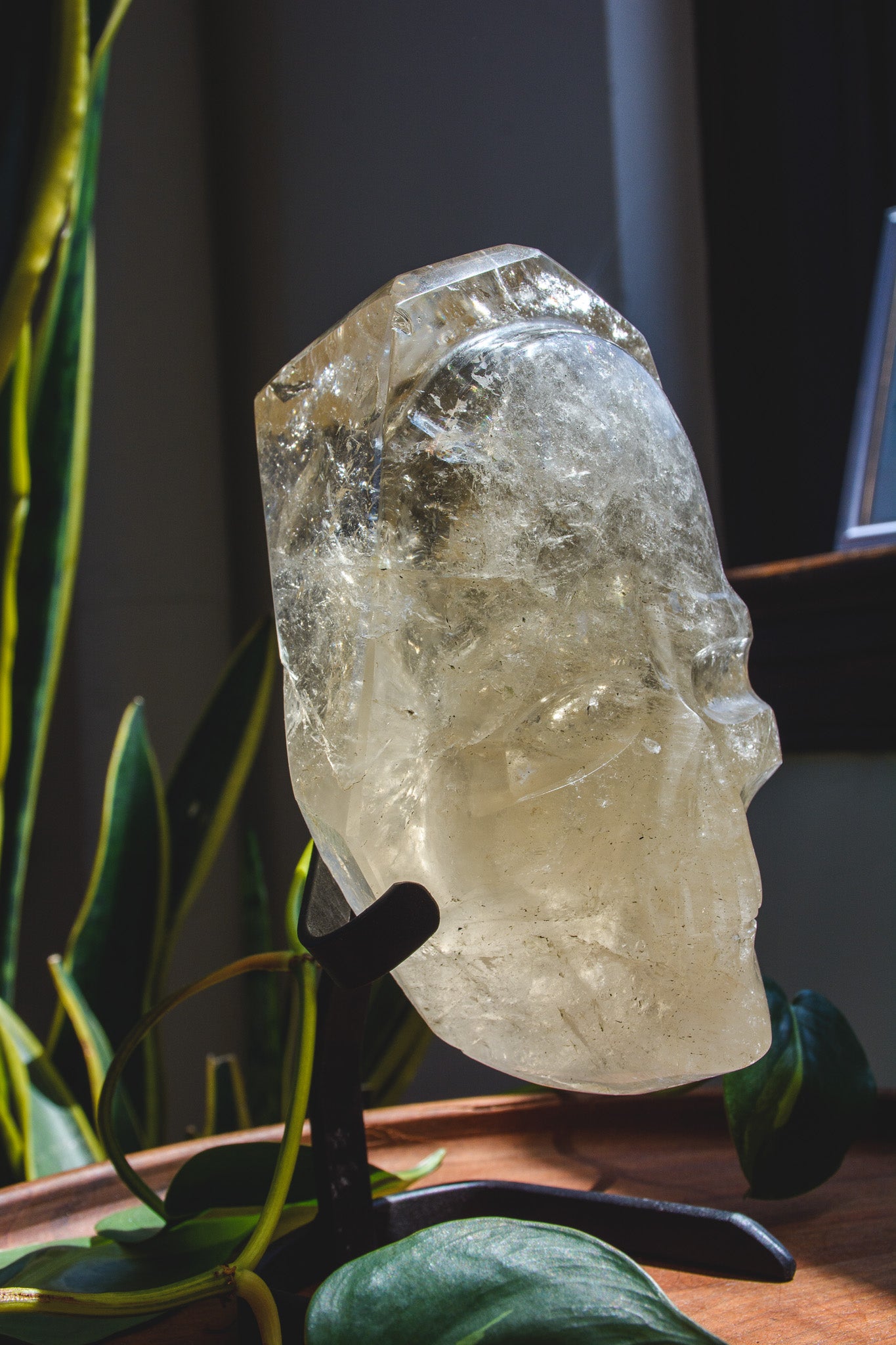 Large Hand polished Quartz Skull Shaped Specimen on Stand