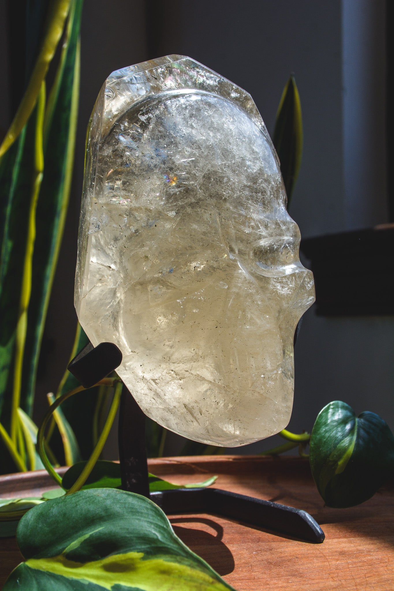 Large Hand polished Quartz Skull Shaped Specimen on Stand