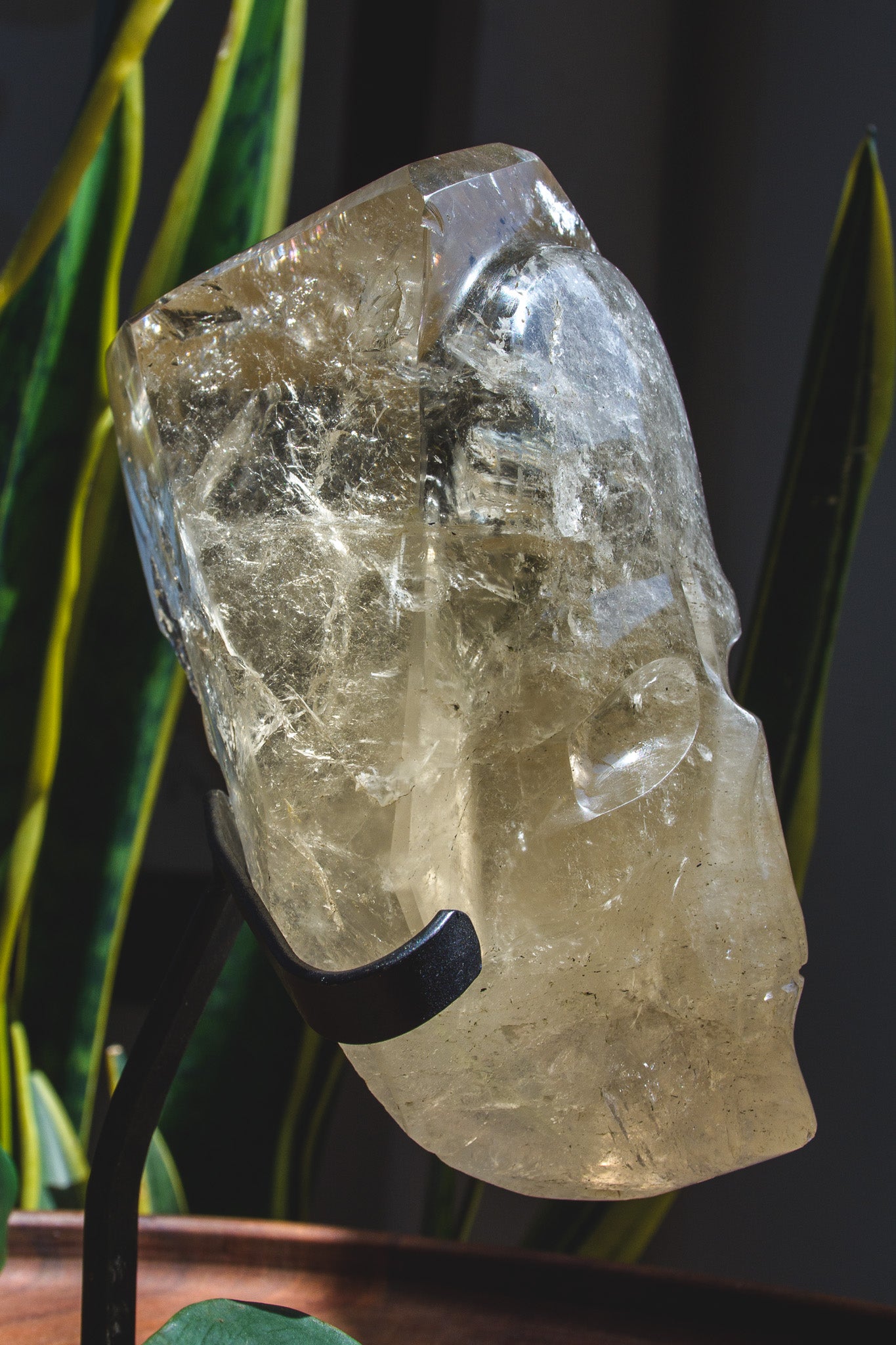 Large Hand polished Quartz Skull Shaped Specimen on Stand