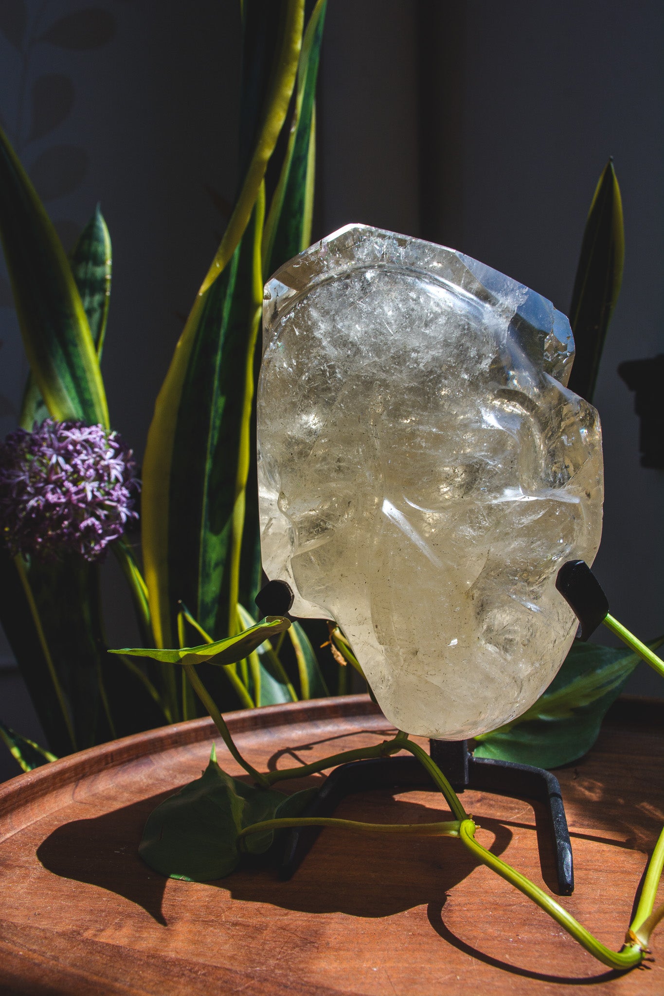 Large Hand polished Quartz Skull Shaped Specimen on Stand