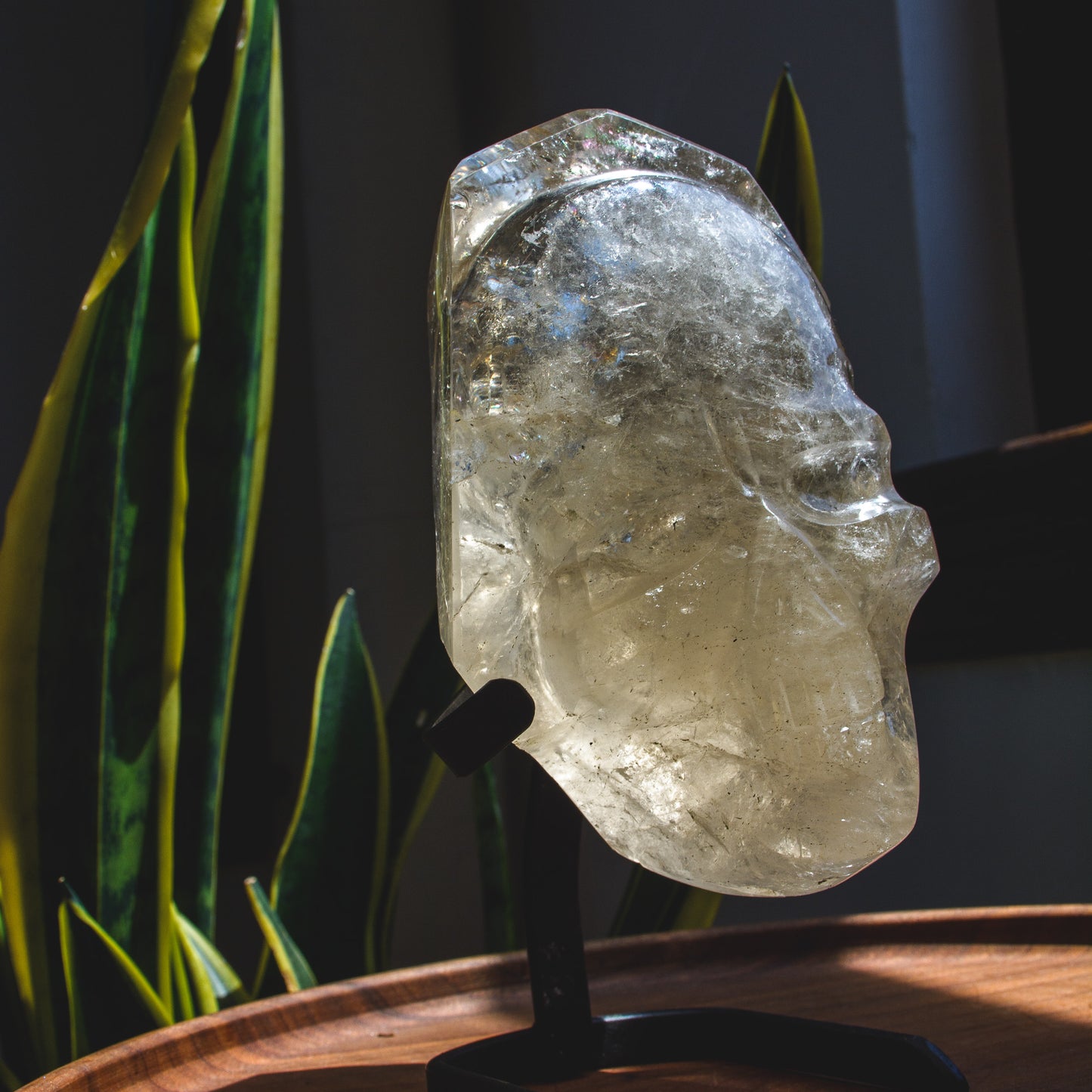 Large Hand polished Quartz Skull Shaped Specimen on Stand