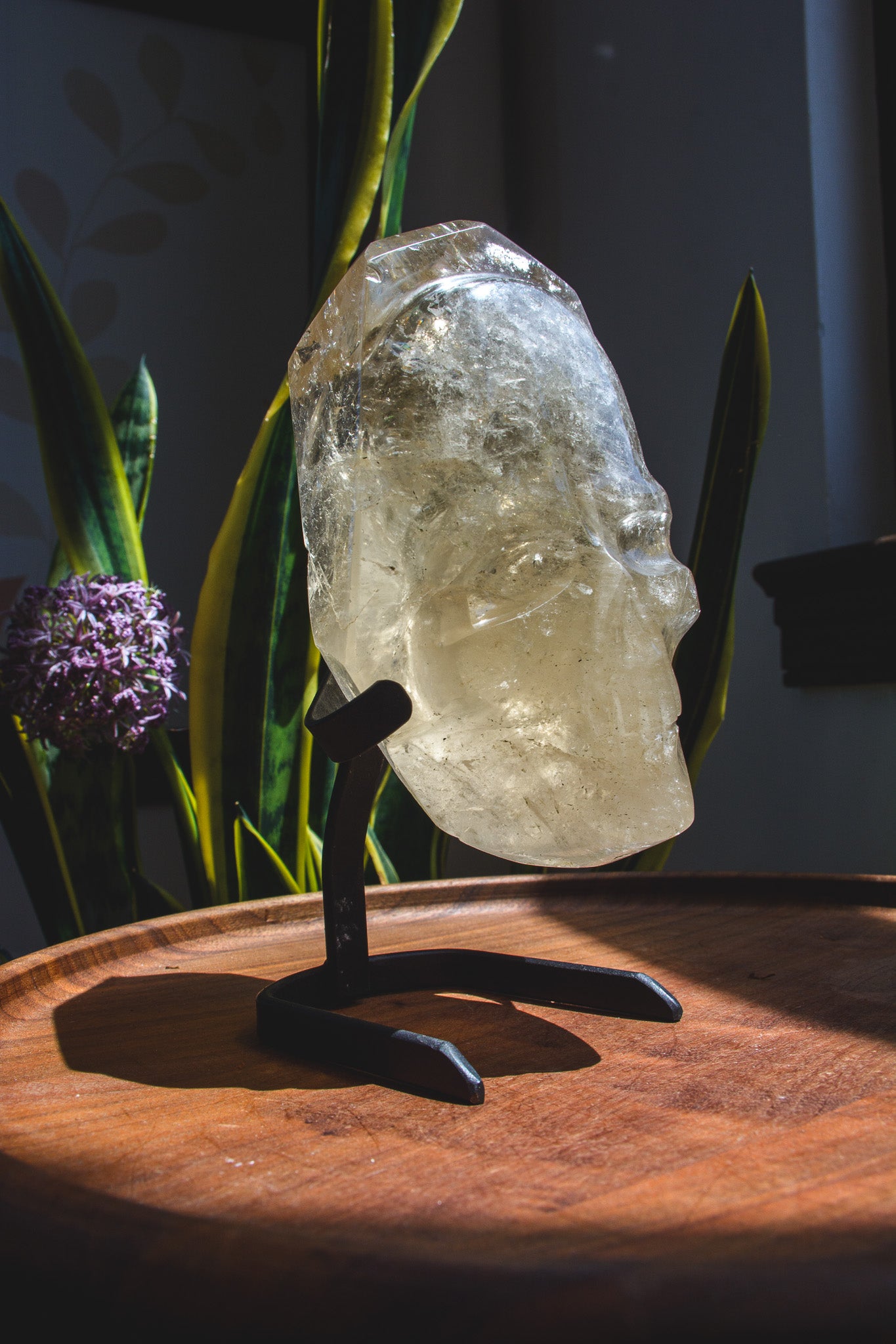 Large Hand polished Quartz Skull Shaped Specimen on Stand