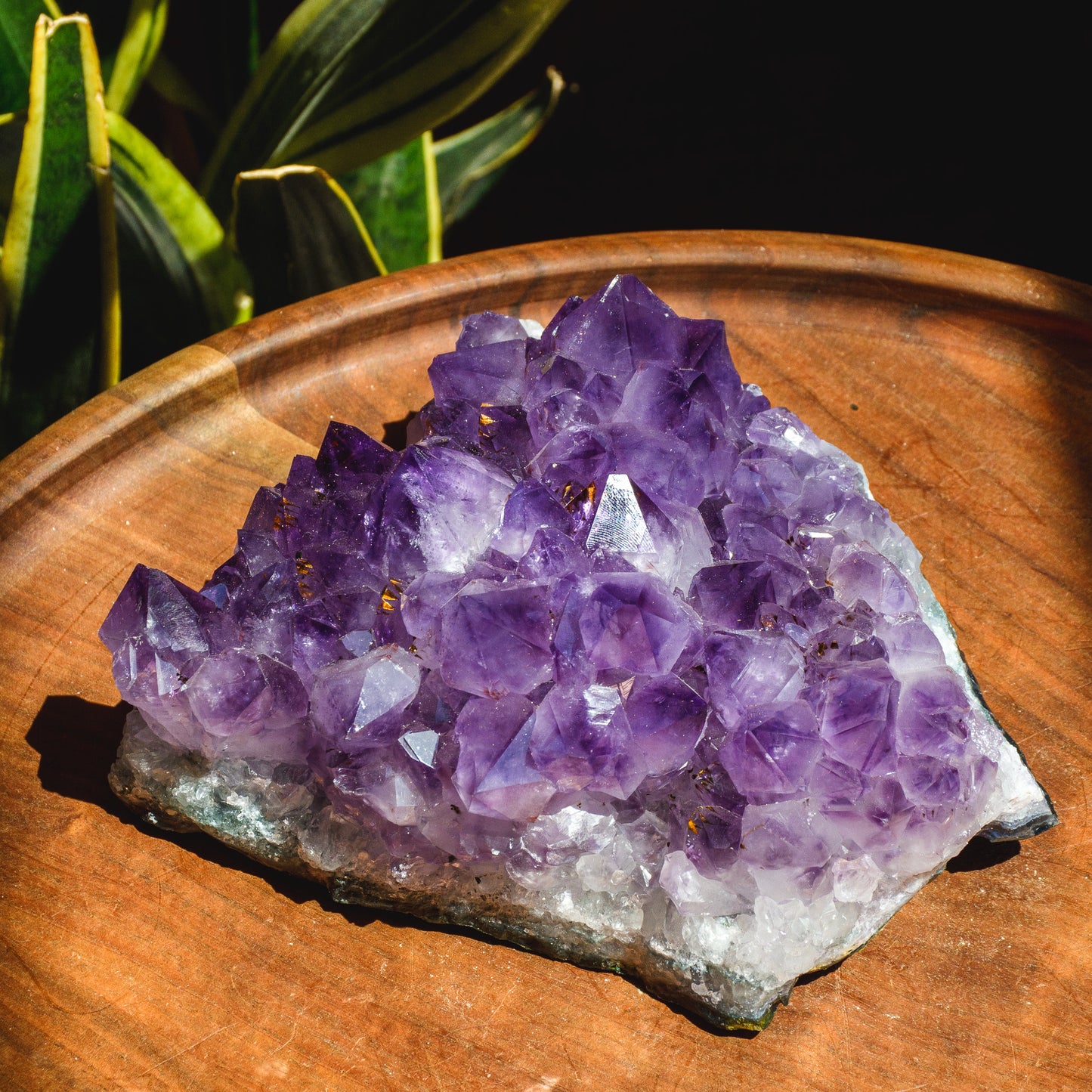 Deep Purple Amethyst Plate