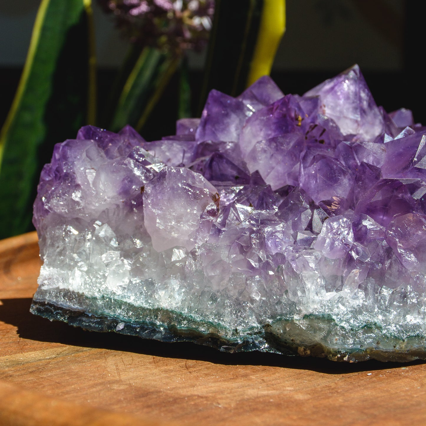 Deep Purple Amethyst Plate