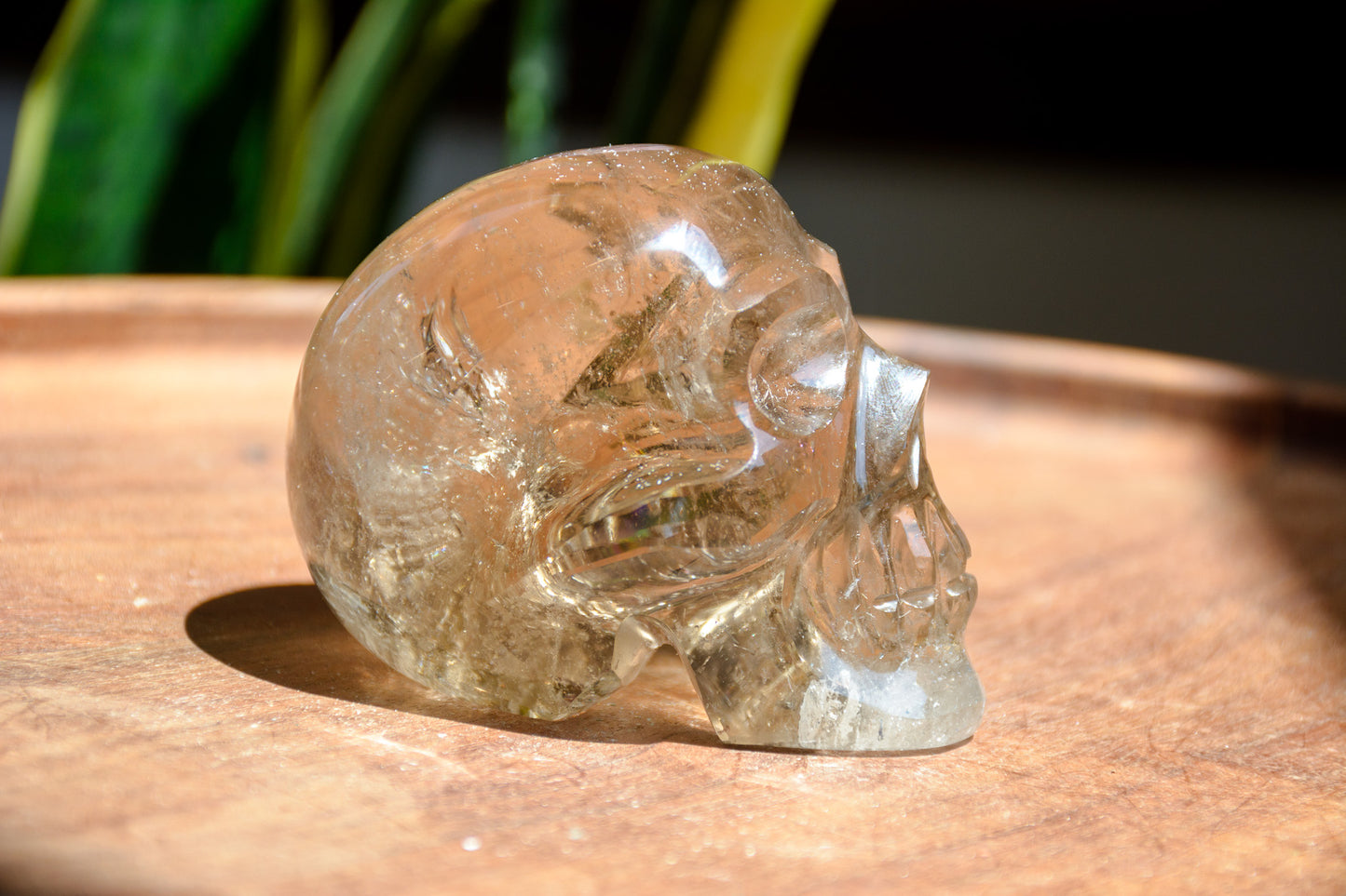 Pitico Smoky Quartz Skull Shaped Specimen