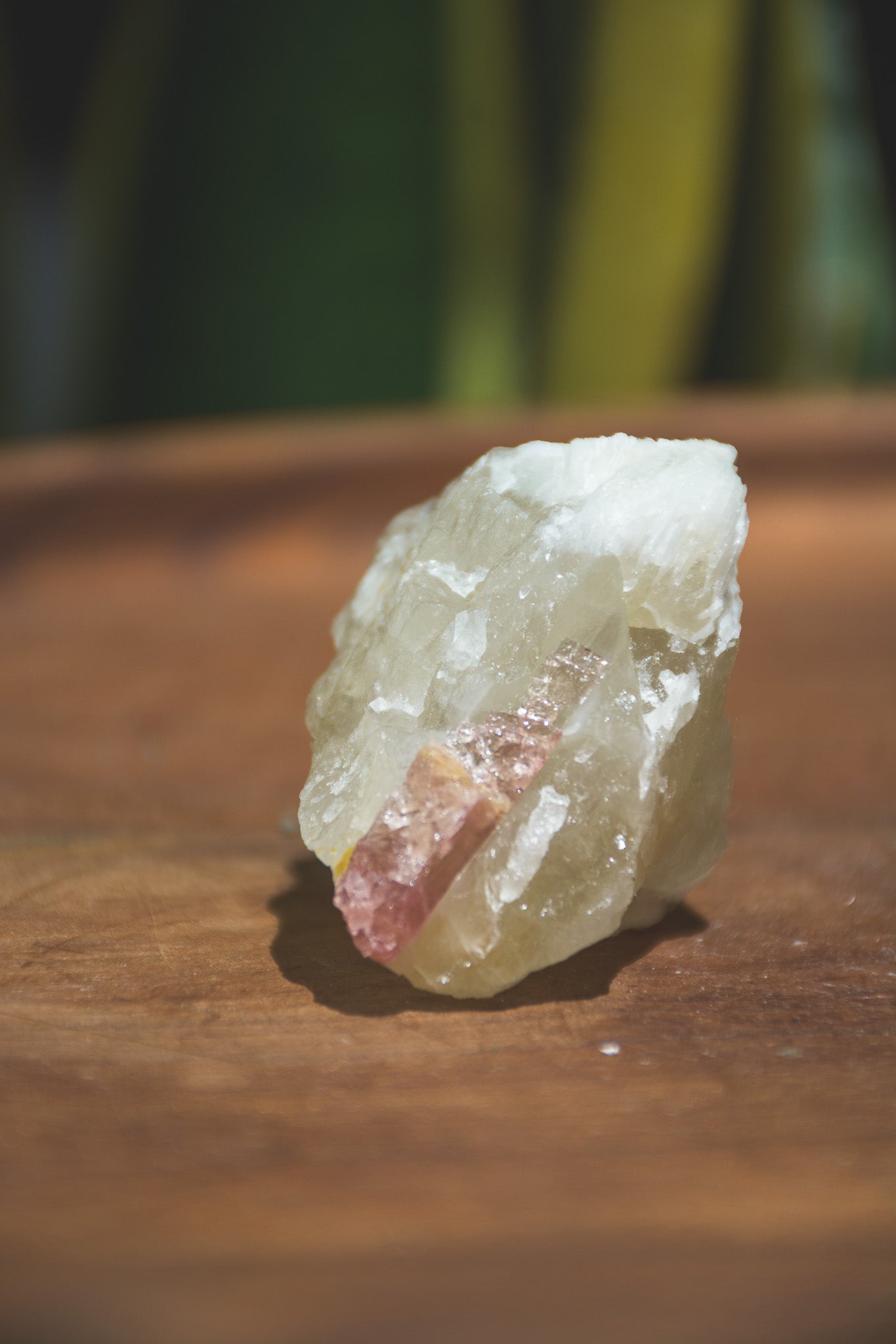 Tourmaline on Citrine