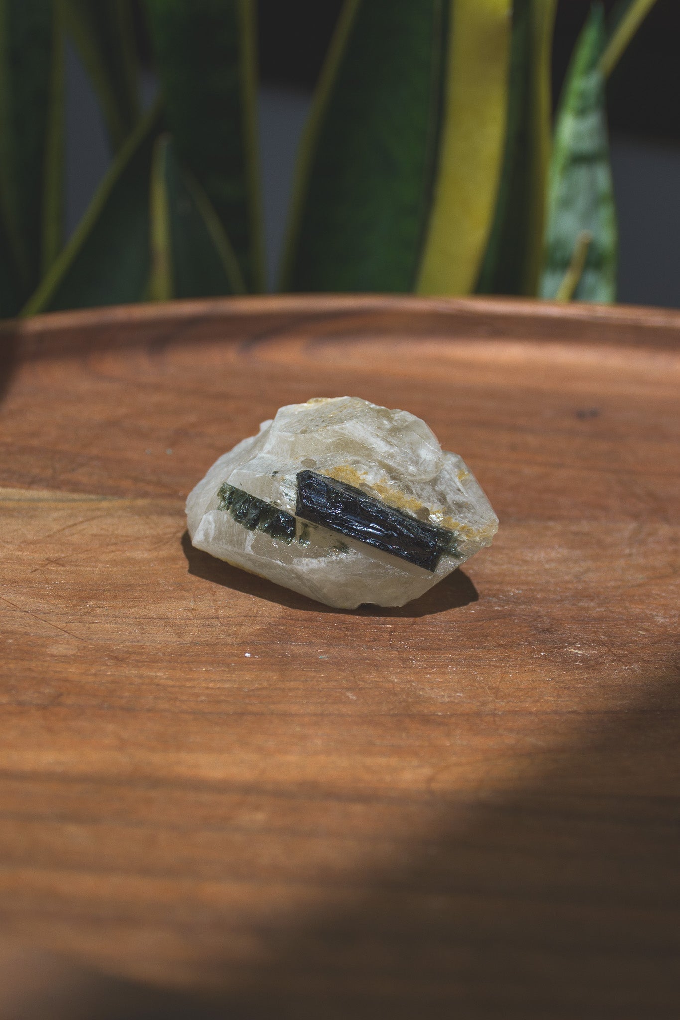 Tourmaline on Citrine