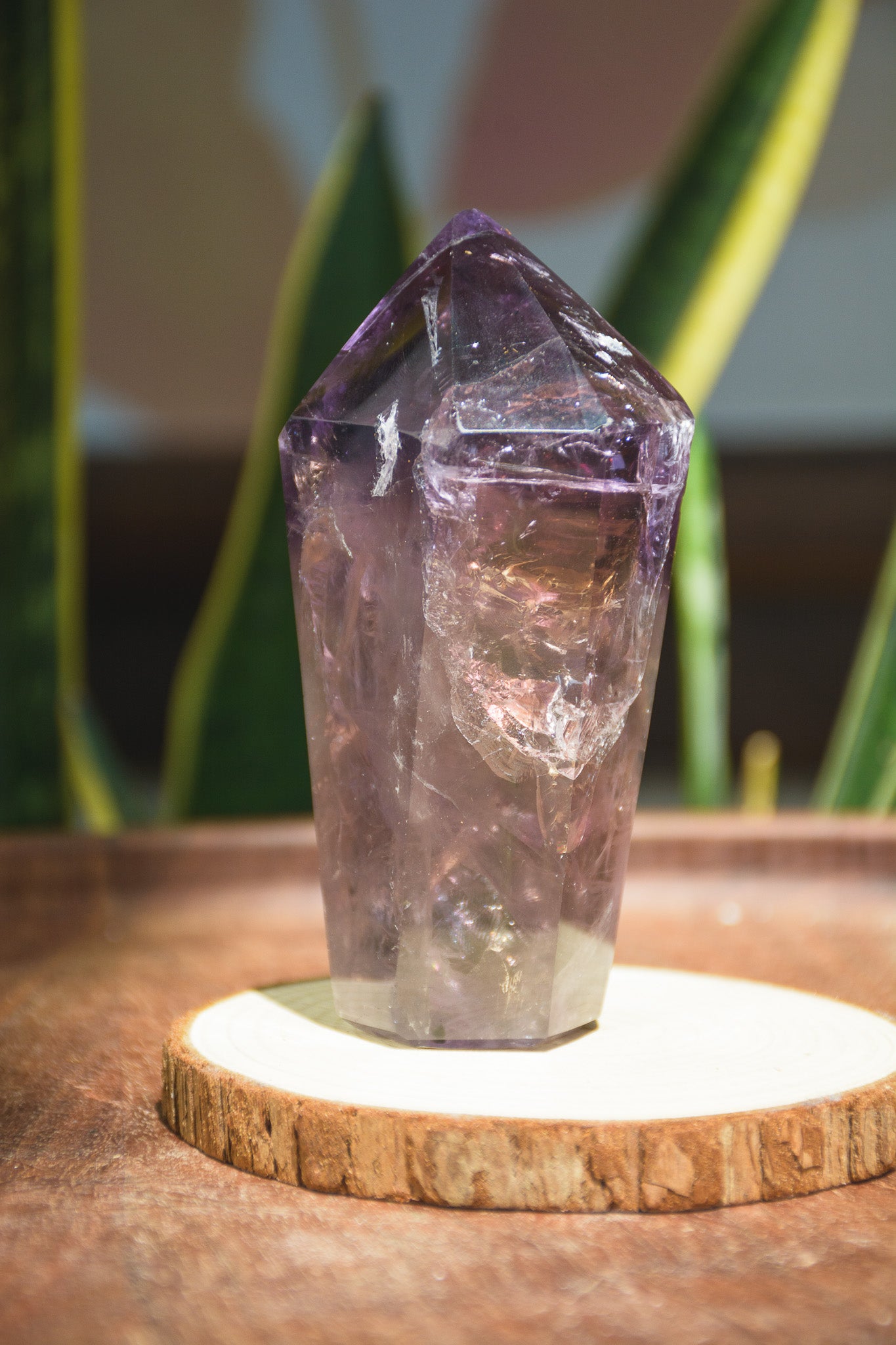 Royal Bahia Amethyst Tower