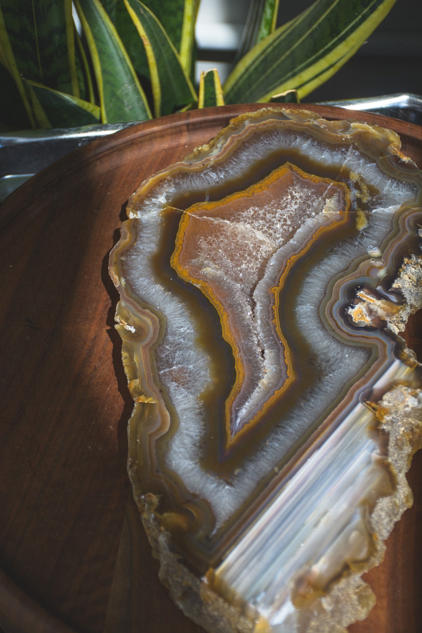 Large Agate Slab with Druzy