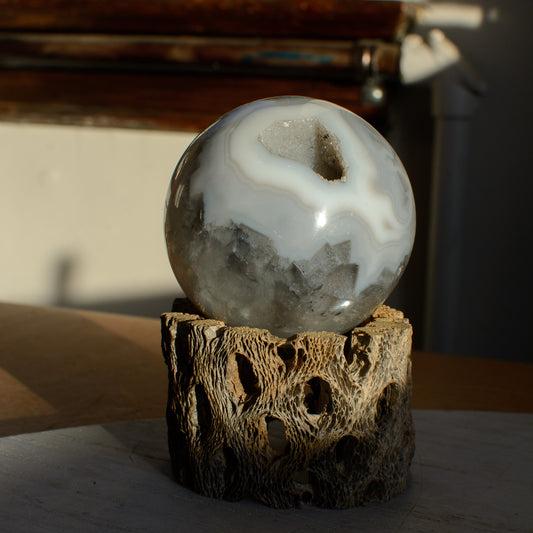 Agate Sphere on Cholla Cactus Wood Stand | Surry Hills Stones