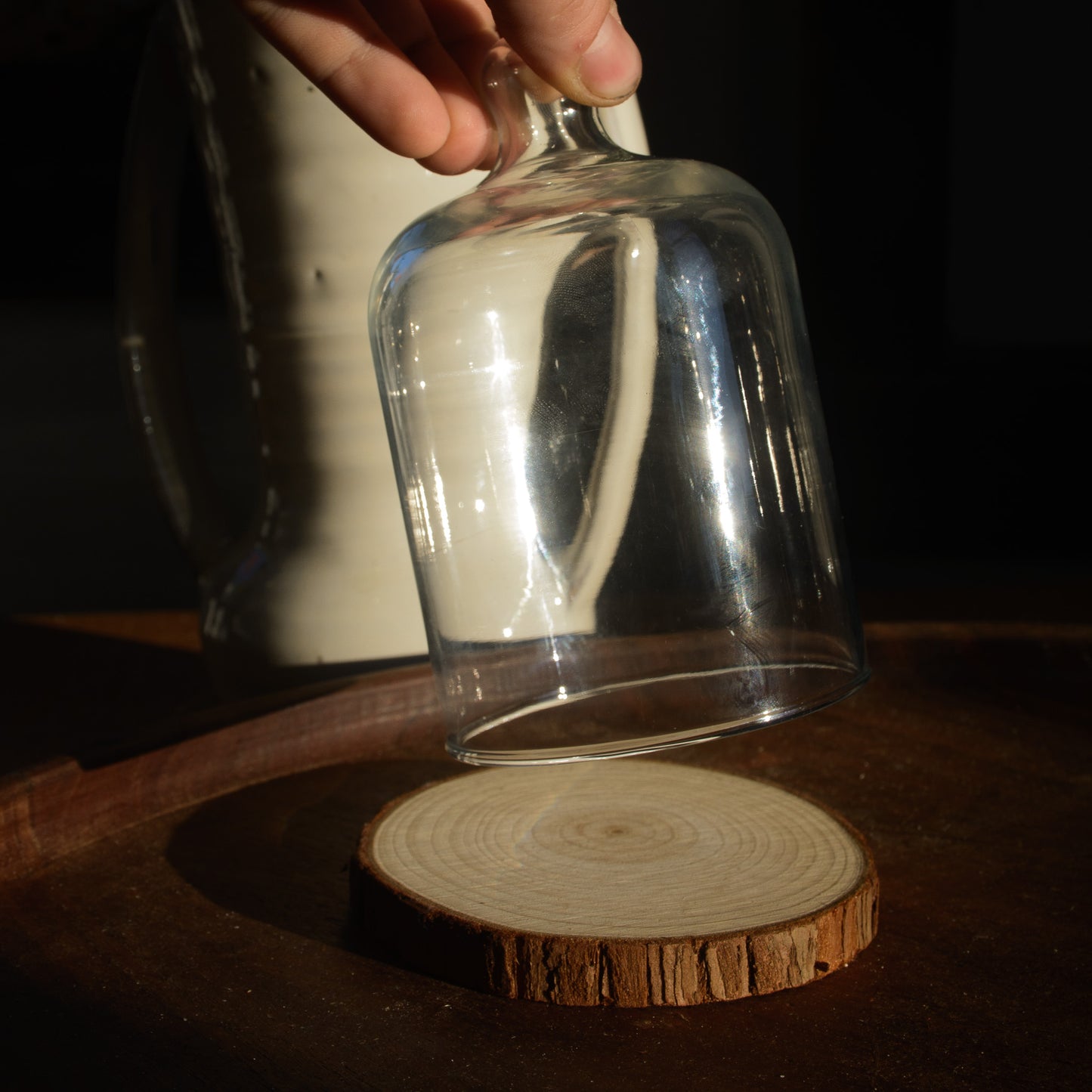 Glass Crystal Display Cloche with Wooden Base | SURRY HILLS STONES