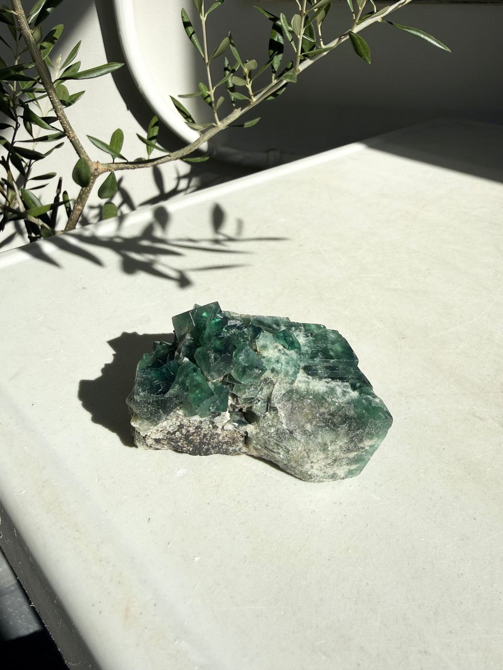 natural bright green fluorite on marble counter with olive branches in back