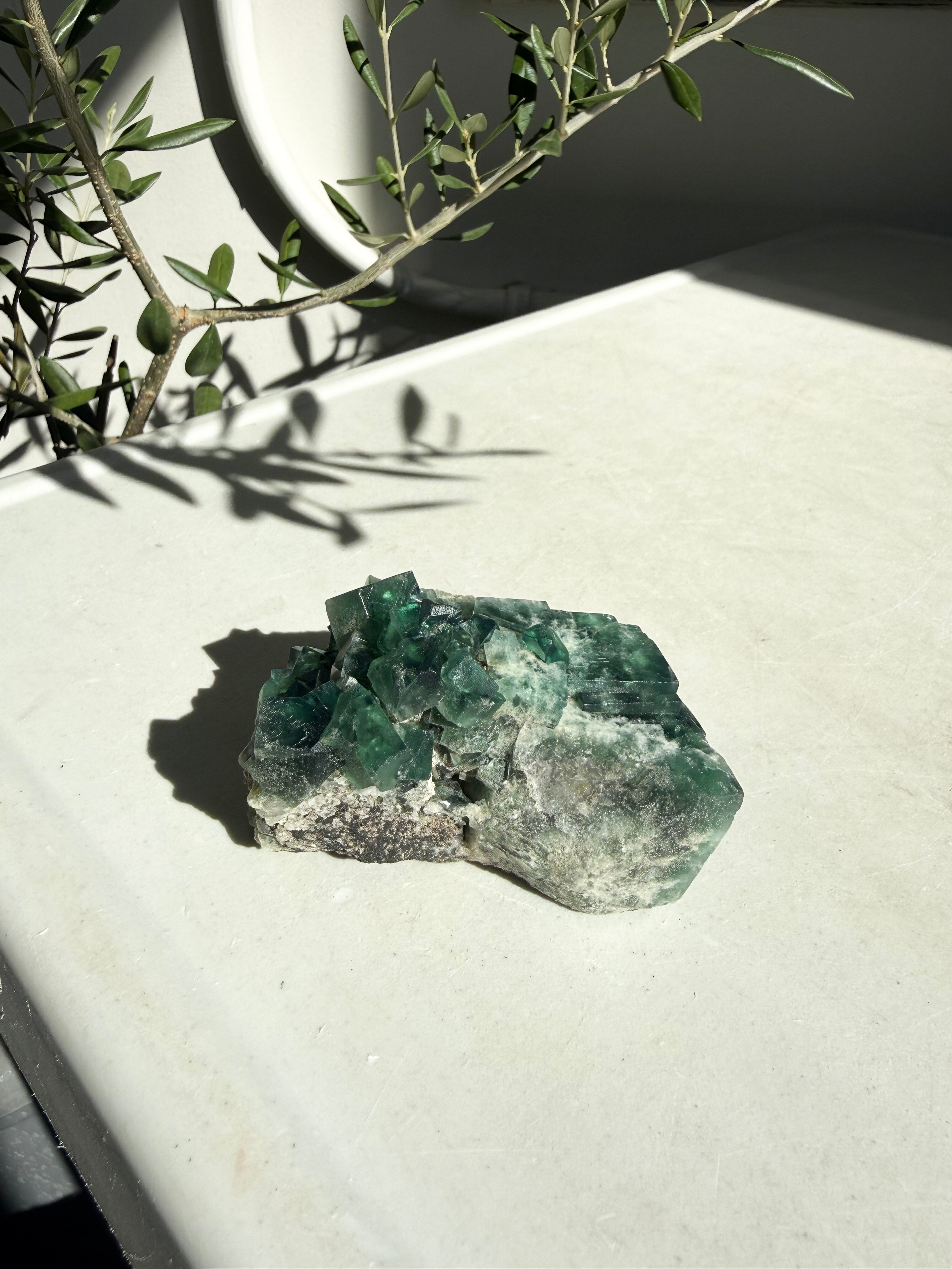 natural bright green fluorite on marble counter with olive branches in back