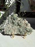 Green Chlorite and inclusion quartz cluster on gold stand