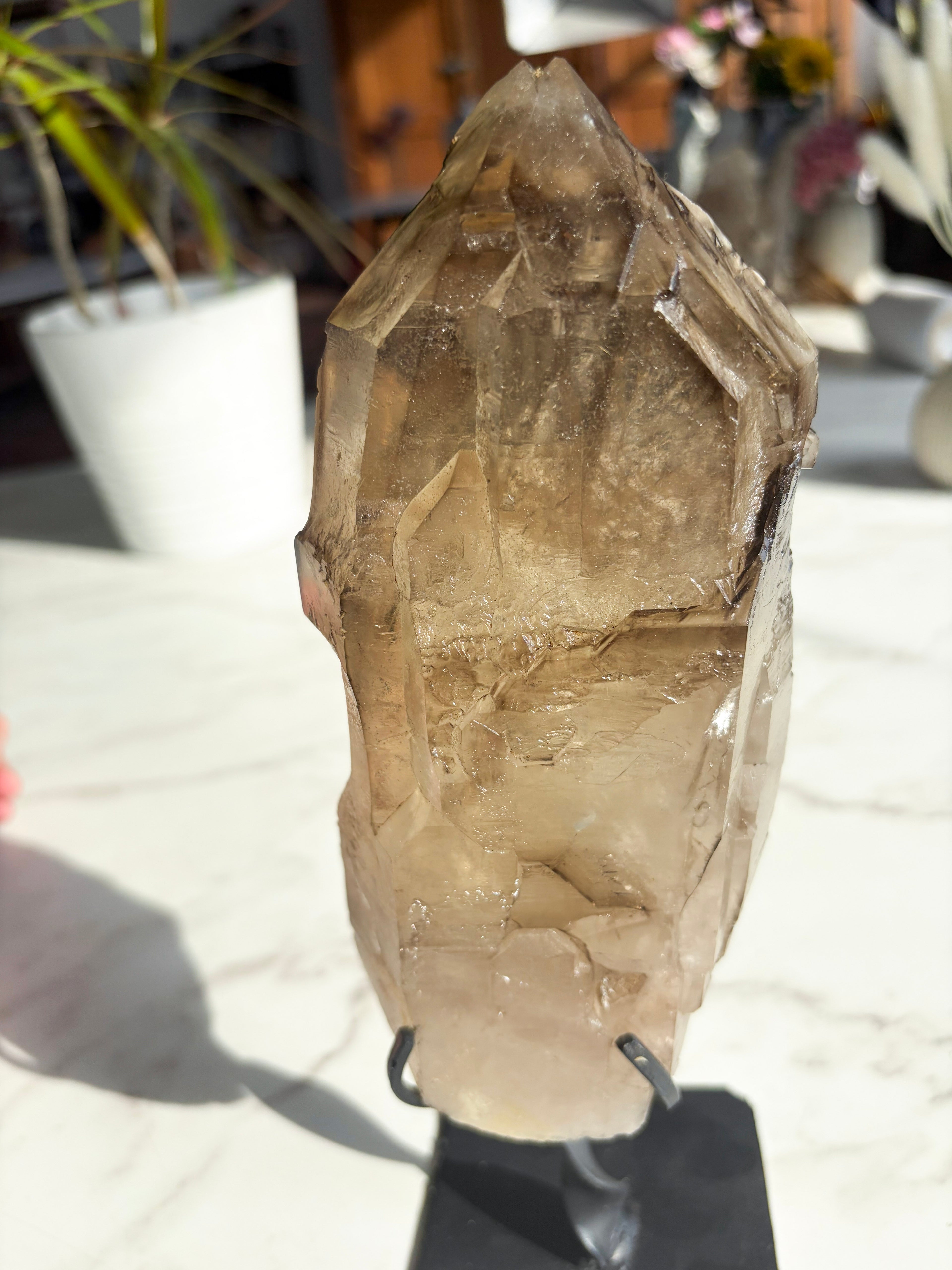 smokey brazilian Citrine on Custom Stand
