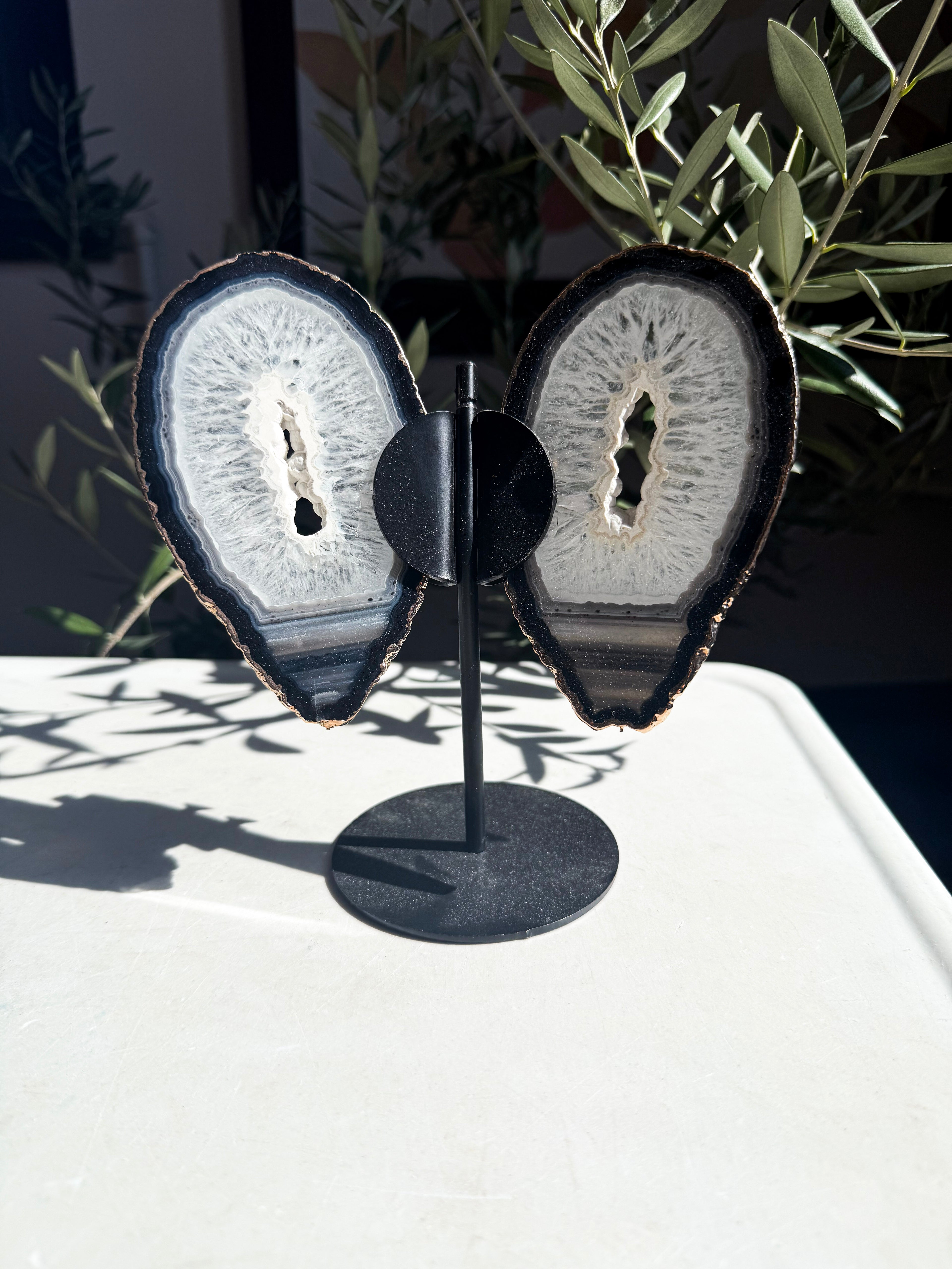 Gold Plated Navy, blue, and white agate wings on a metal stand