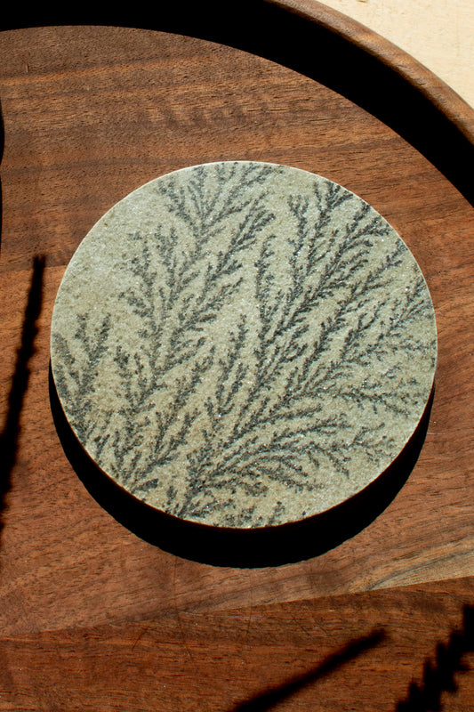 Micaceous Sandstone Dendrite Slab