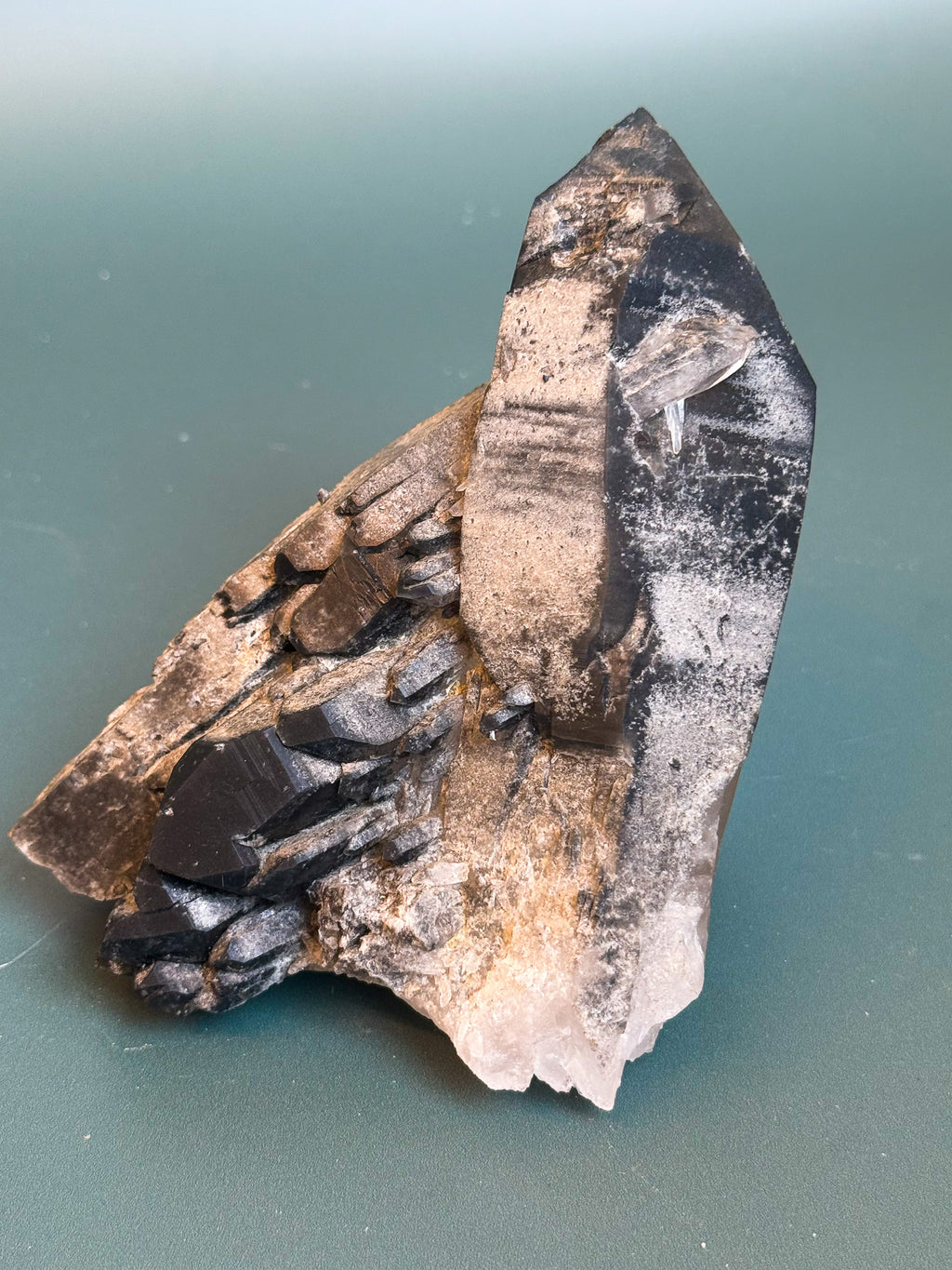 Black Phantom Lemurian Quartz Cluster
