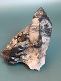 Black Phantom Lemurian Quartz Cluster