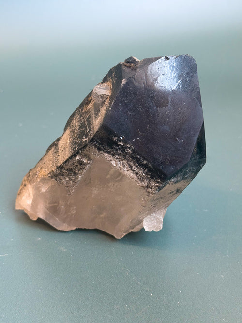 Black Phantom Lemurian Quartz Cluster