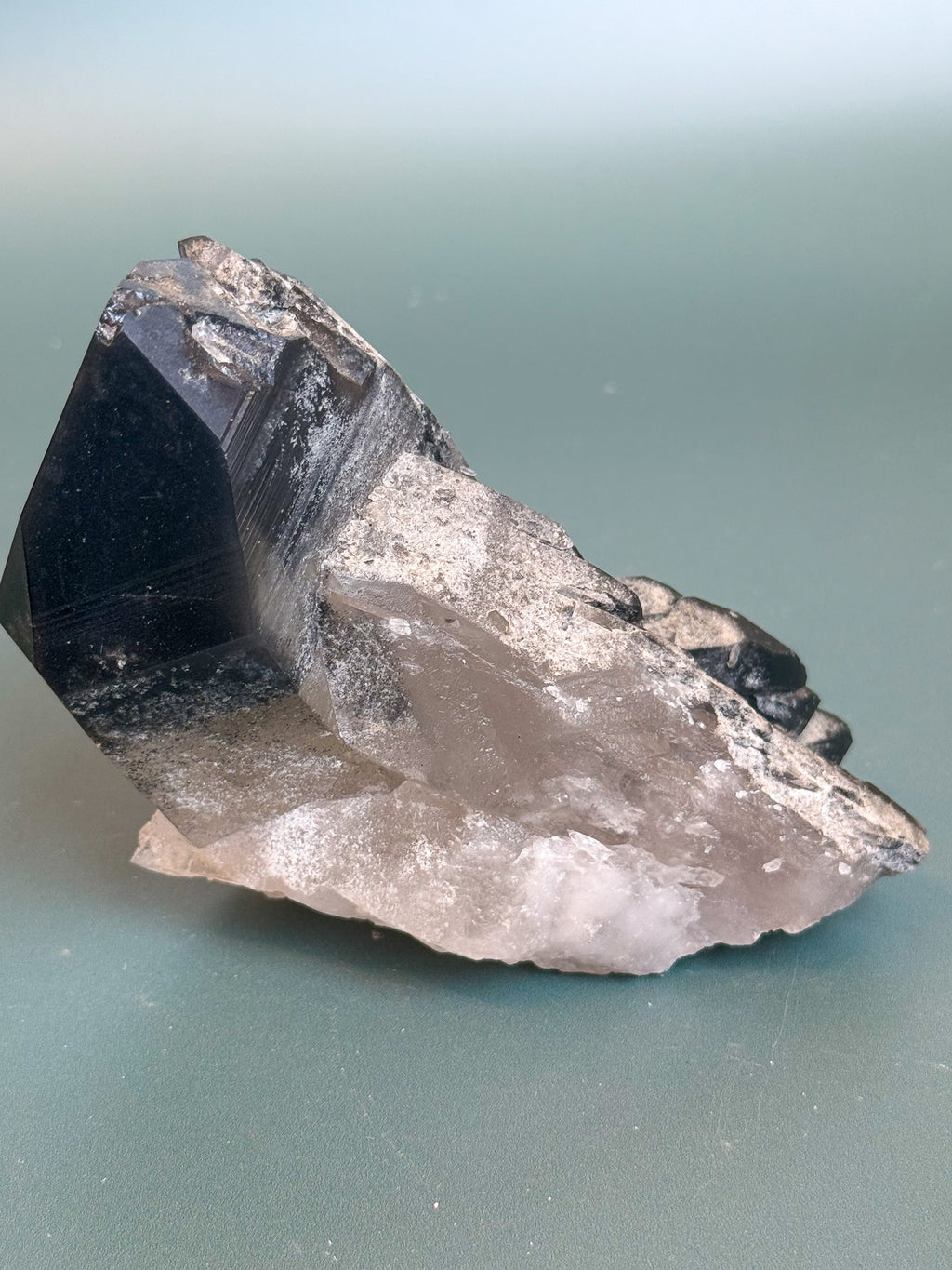 Black Phantom Lemurian Quartz Cluster