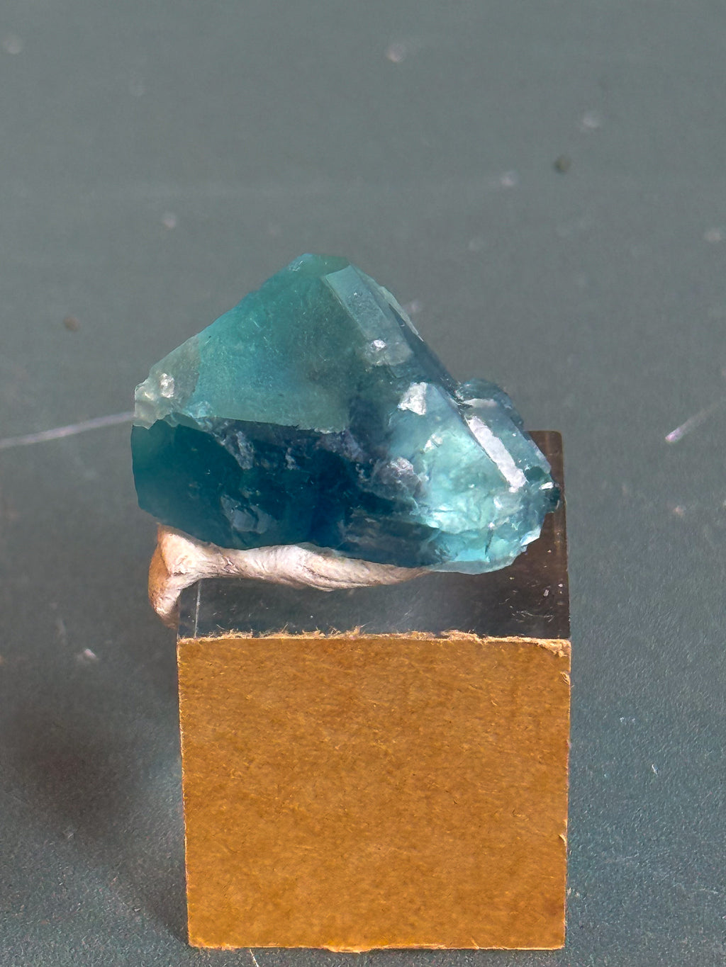 Phantom Fluorite