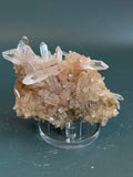 Samadhi Quartz Cluster