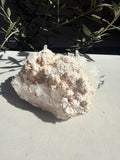 colombian Unique needle quartz specimen with calcite