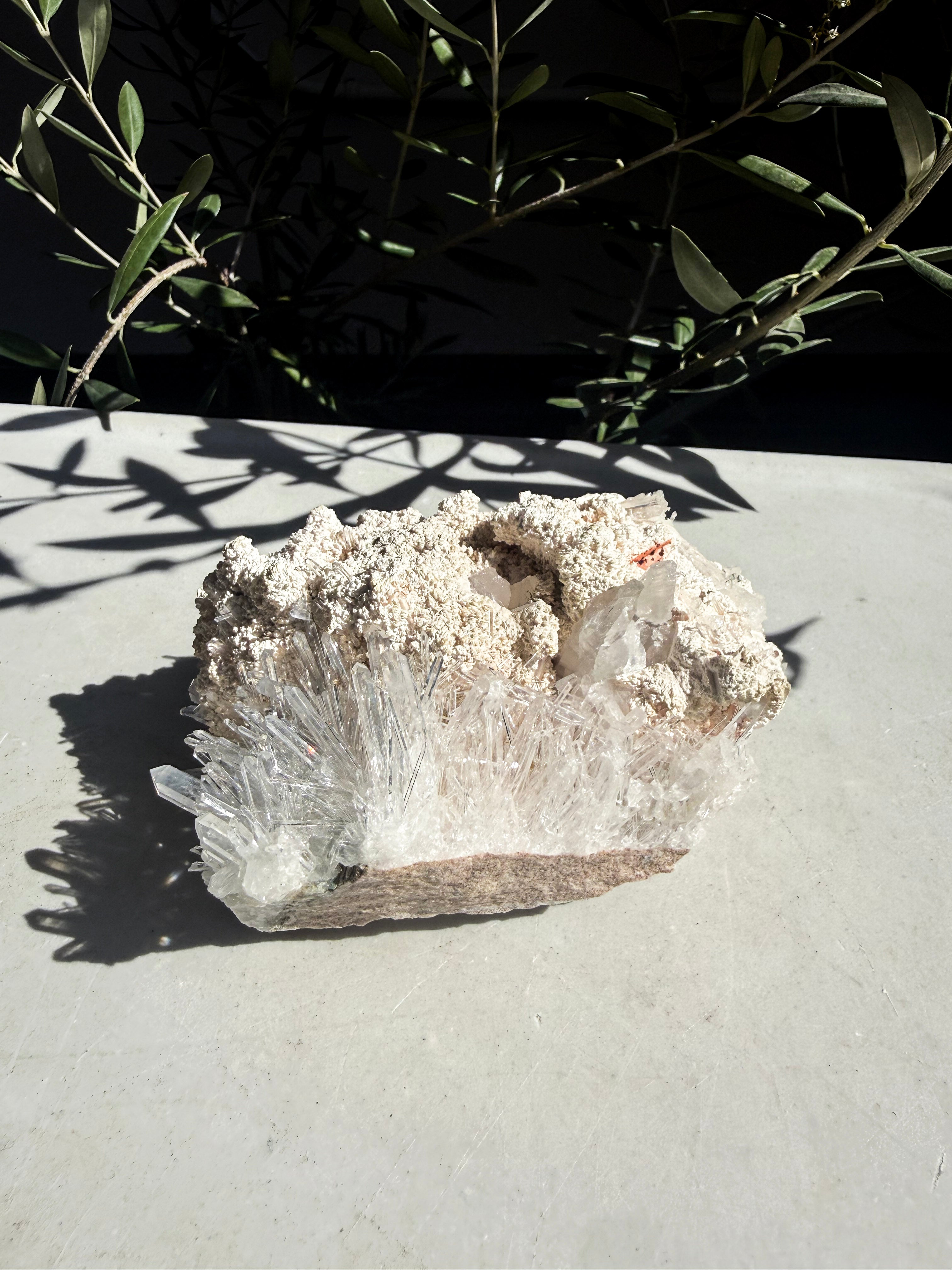 Unique needle quartz with on marble counter surrounded by foliage