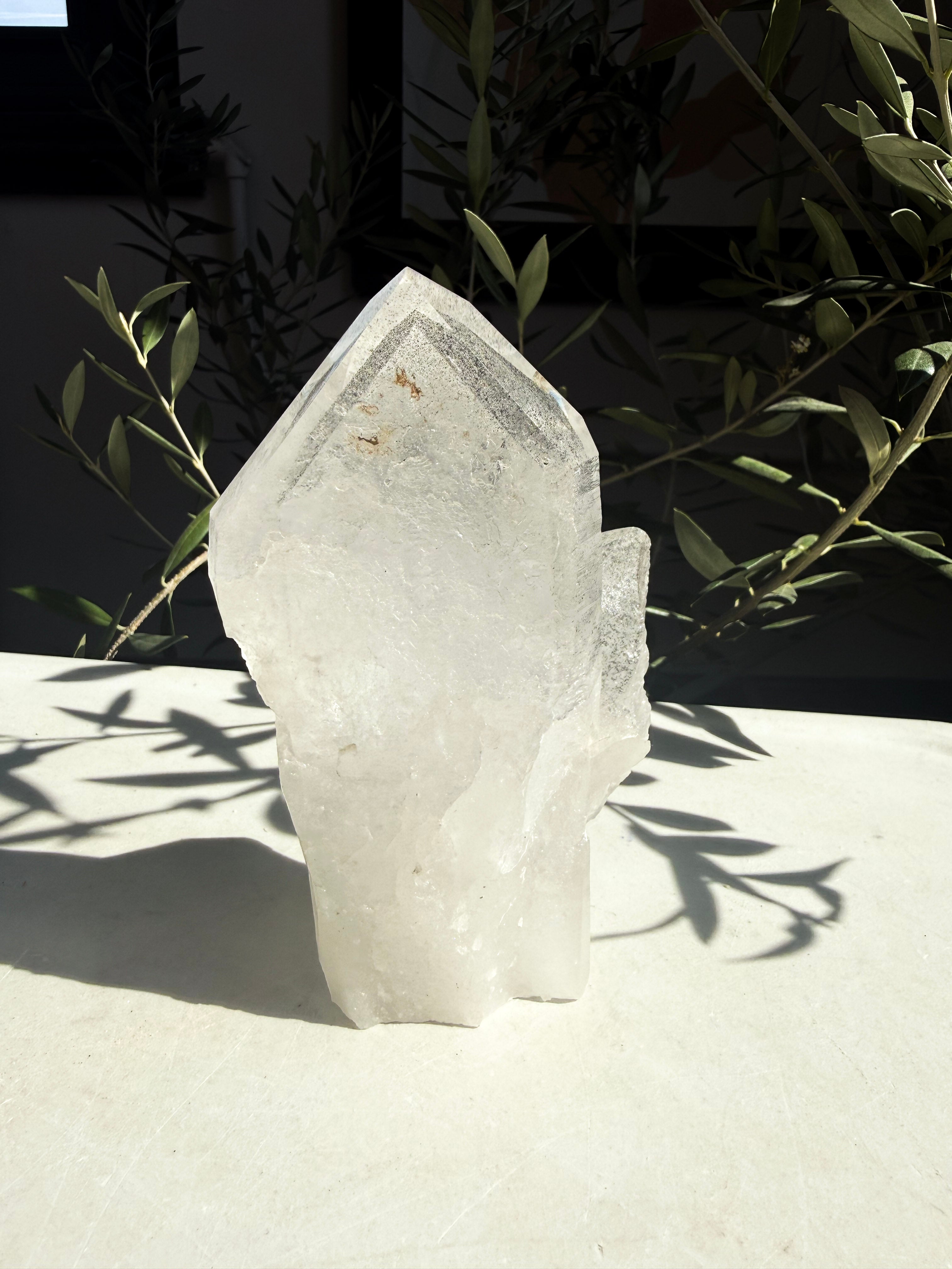 lemurian quartz crystal on marble counter surrounded by foliage
