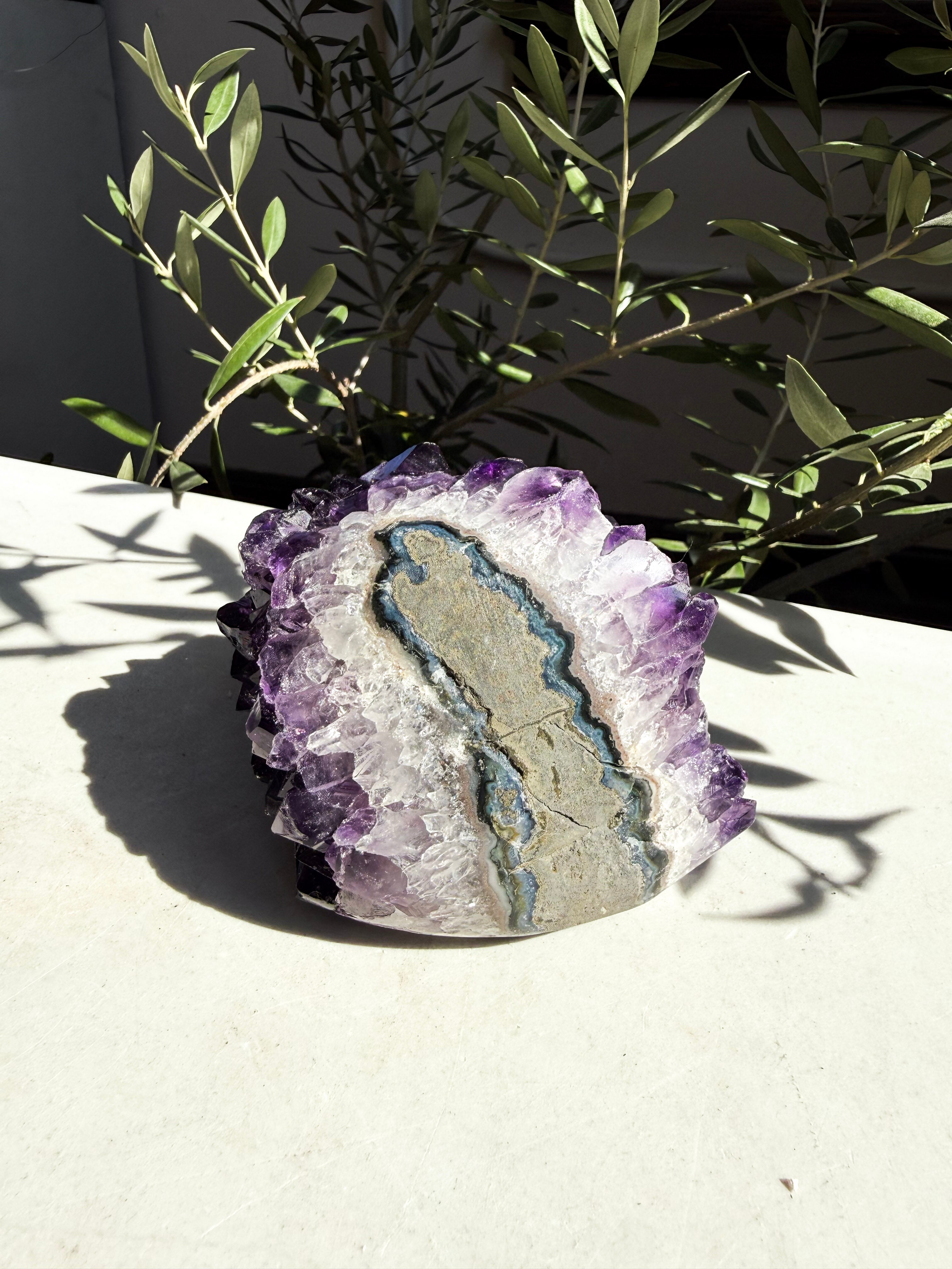 semi polished Amethyst Stalactite on counter surrounded by olive branches