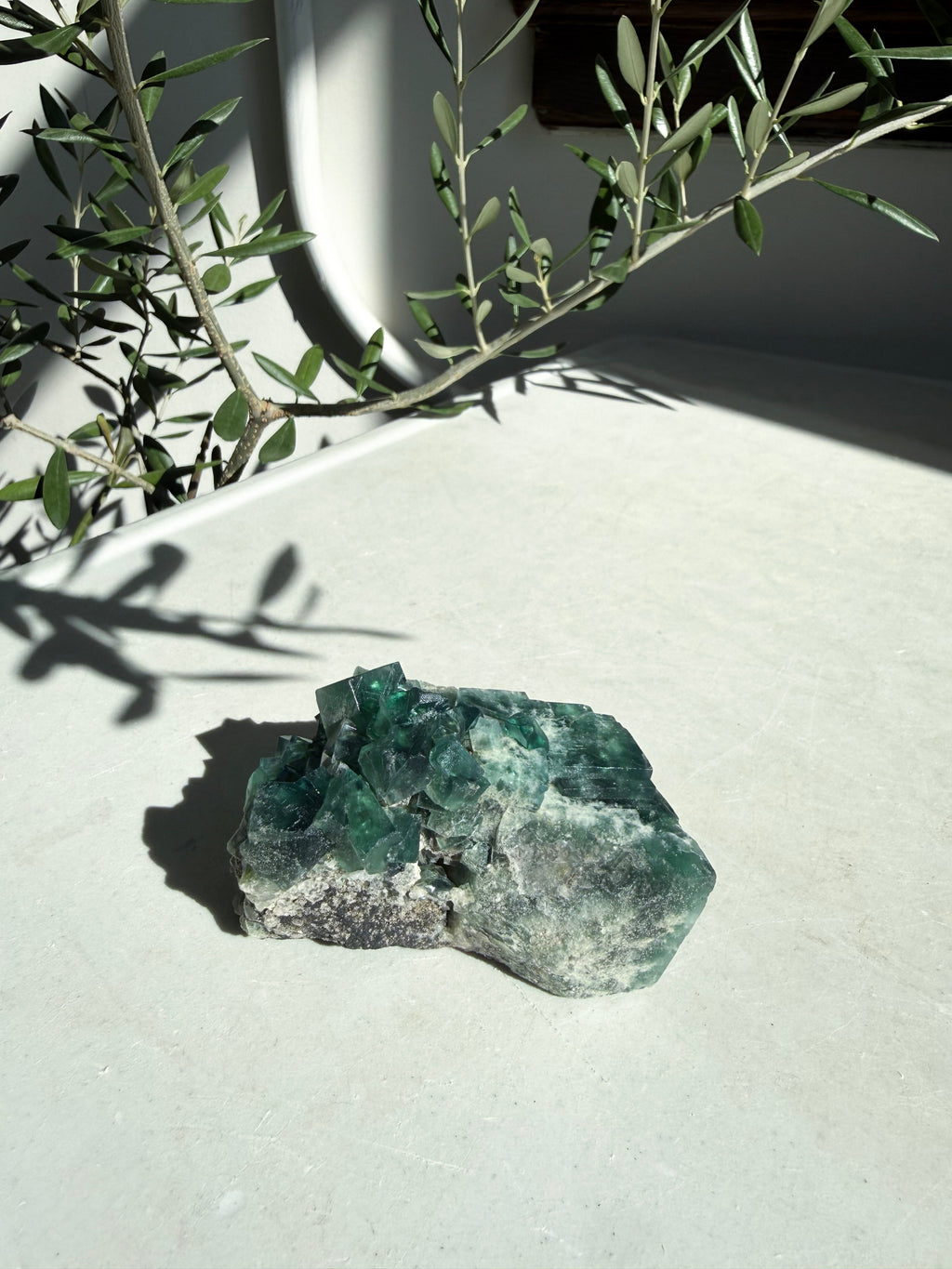 bright green and tourquoise fluorite on marble counter with olive branches in back